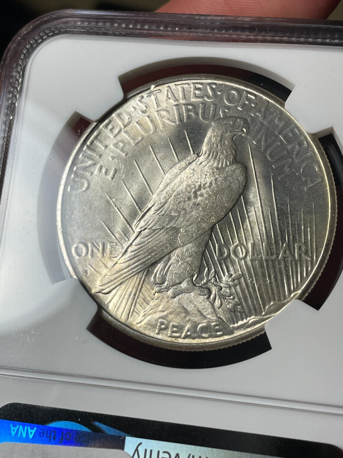 1925-S NGC MS62 CAC Peace Silver Dollar - EX. MS63 Tougher Date