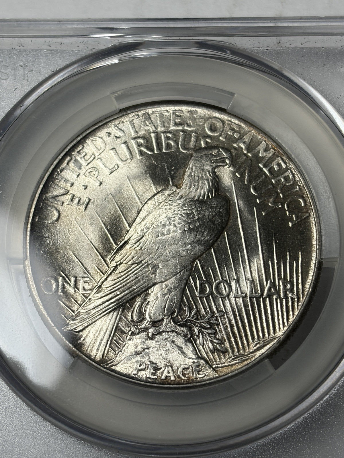 1921 CACG MS64 Peace Silver Dollar