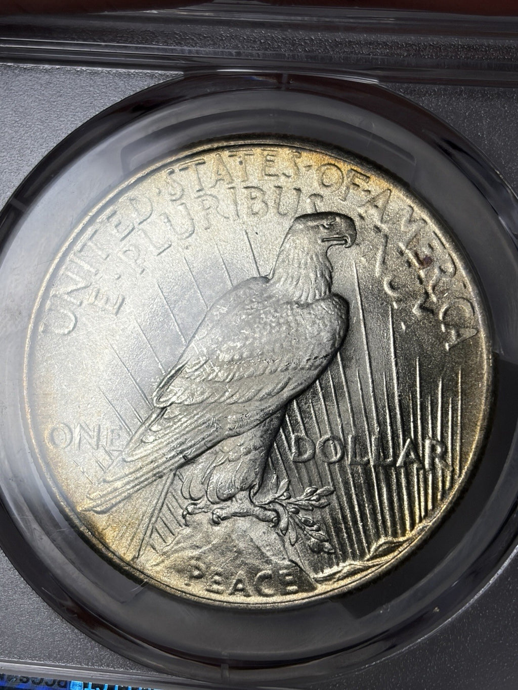 1924 PCGS MS66+ CAC Peace Silver Dollar