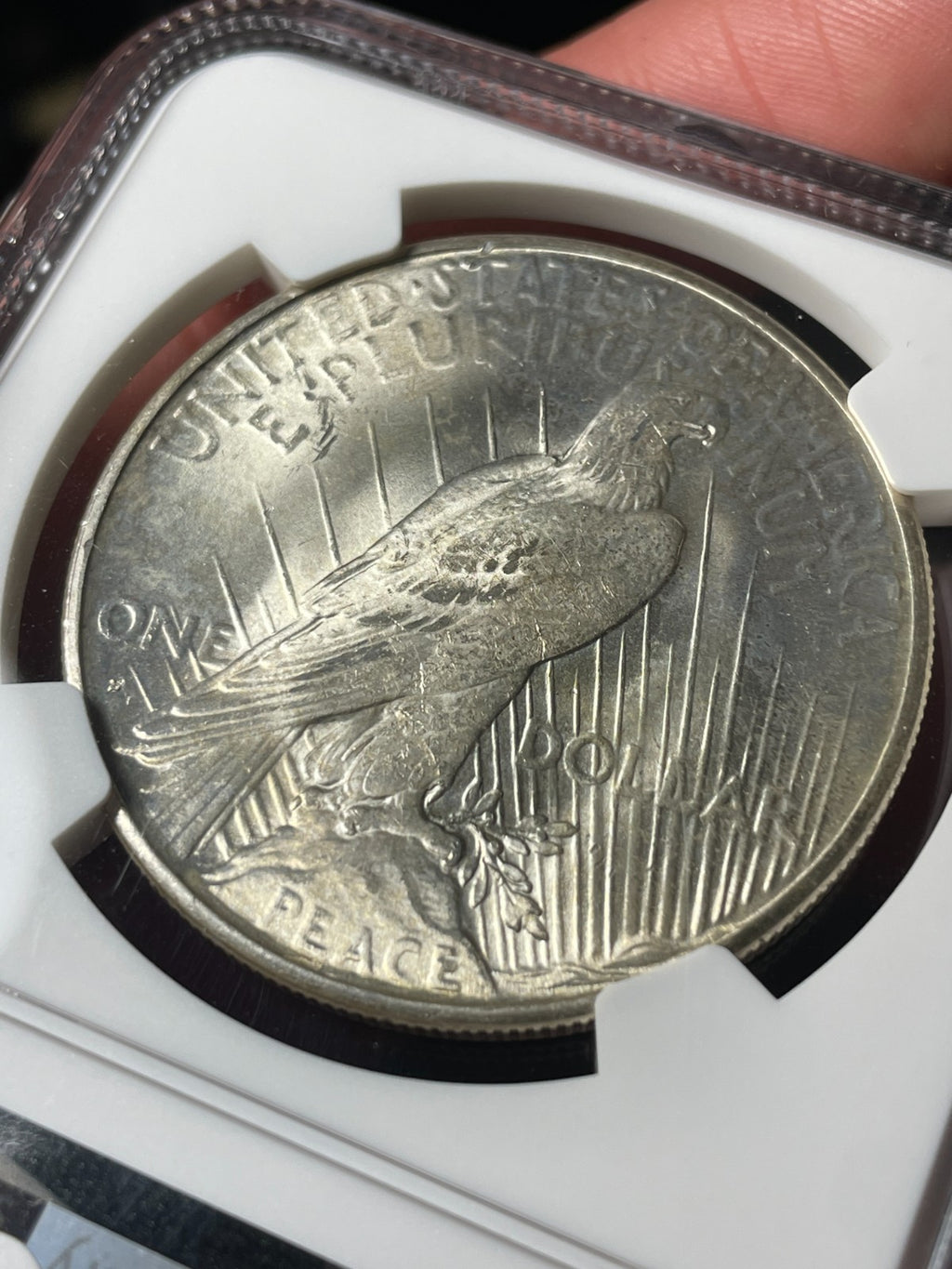 1925-S NGC MS62 CAC Peace Silver Dollar - EX. MS63 Tougher Date