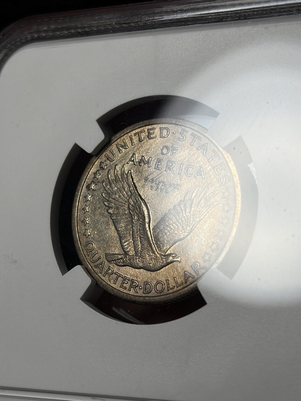1917 Type 1 NGC Unc Details Standing Liberty Quarter Toned