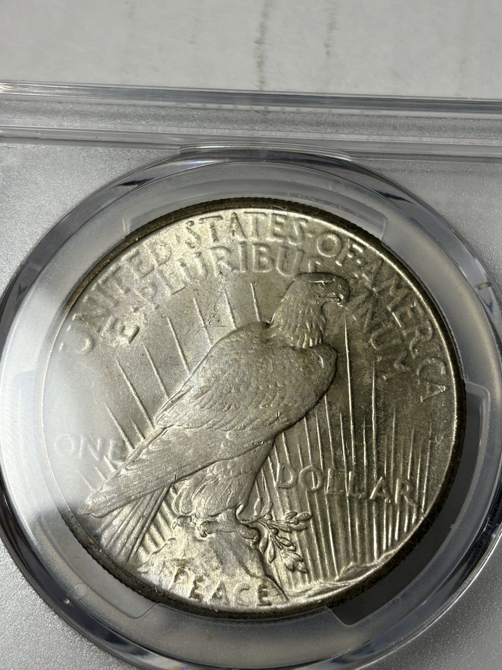 1926 PCGS MS66 Peace Silver Dollar