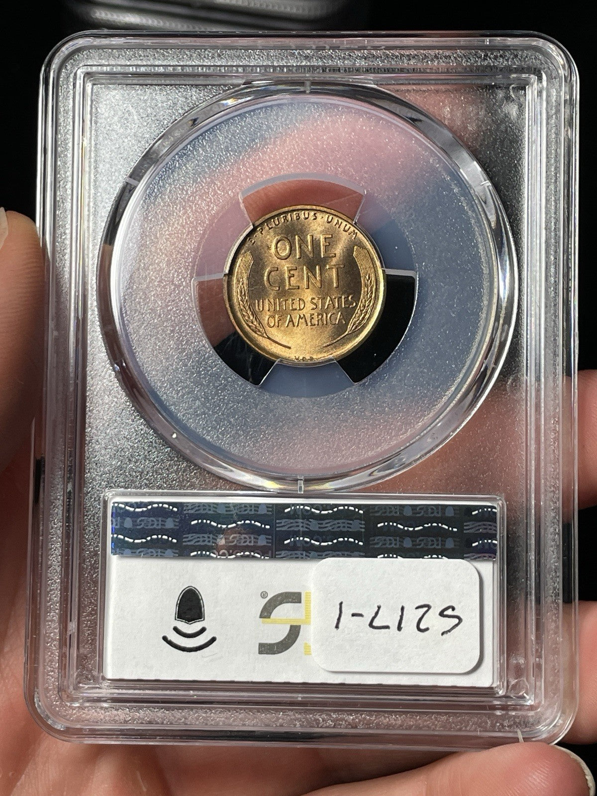 1909 VDB PCGS MS67 CAC Lincoln Wheat Cent