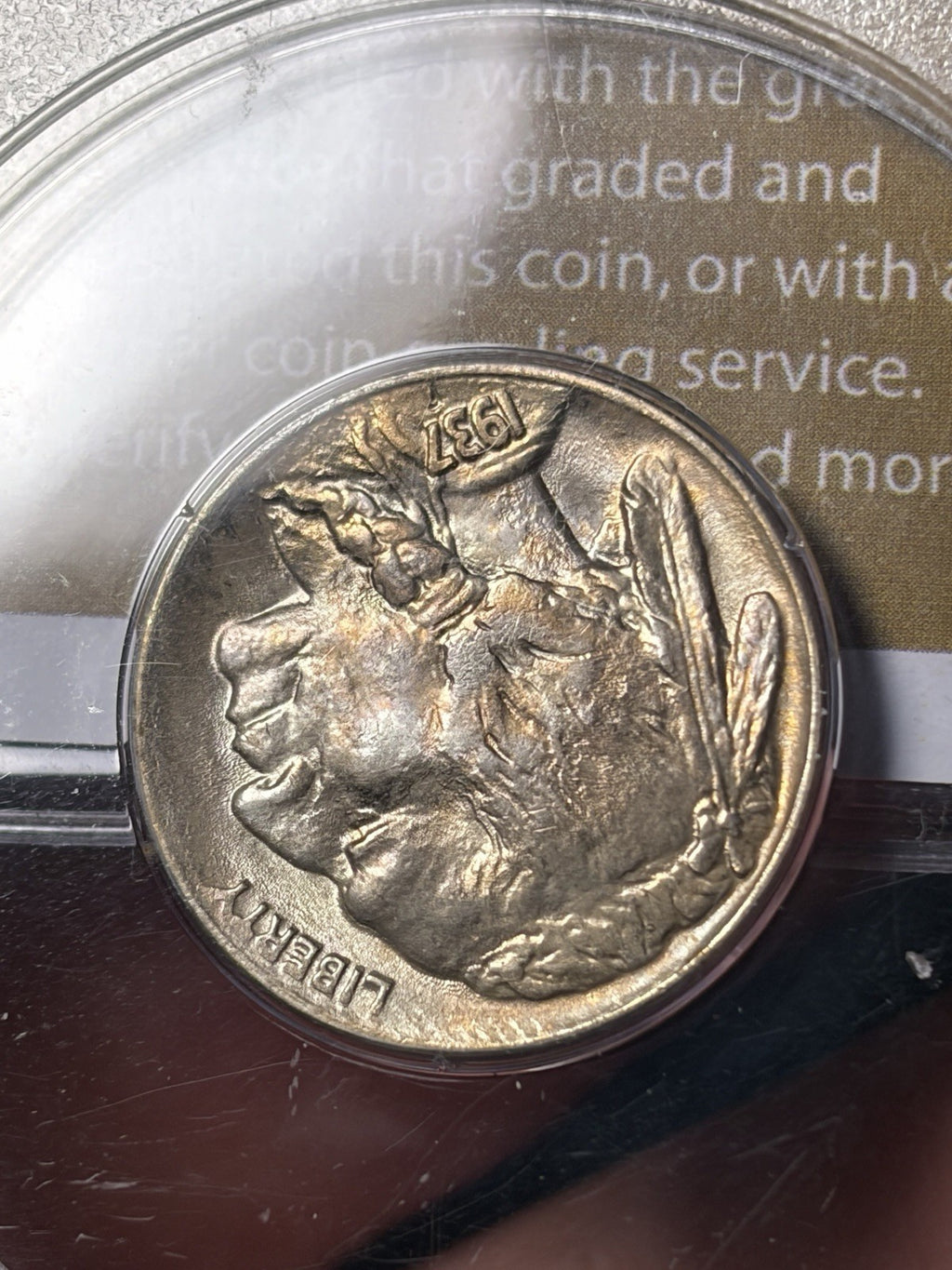 1937-D PCGS MS65 GOLD CAC Buffalo Nickel Rattler Holder
