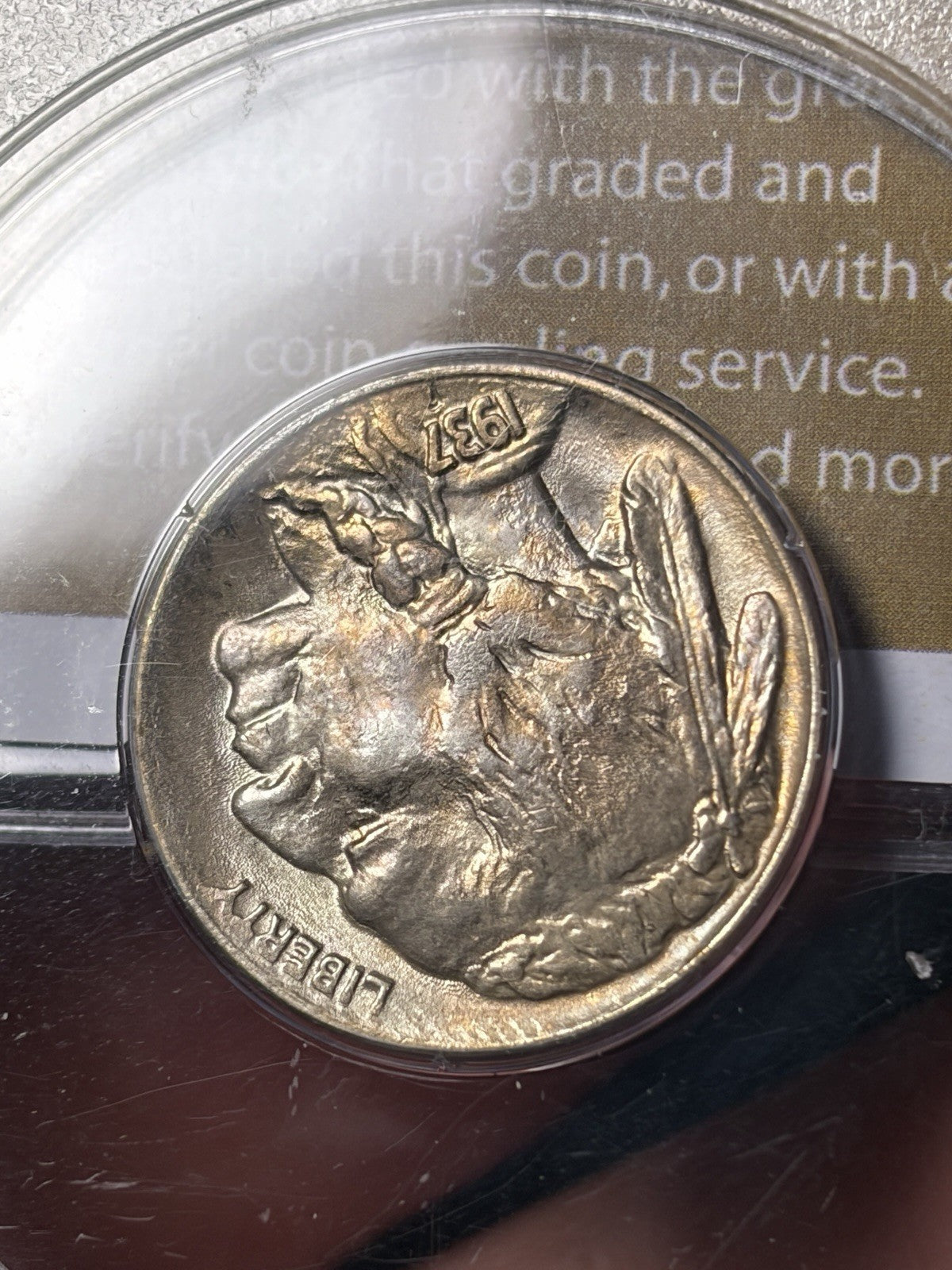 1937-D PCGS MS65 GOLD CAC Buffalo Nickel Rattler Holder