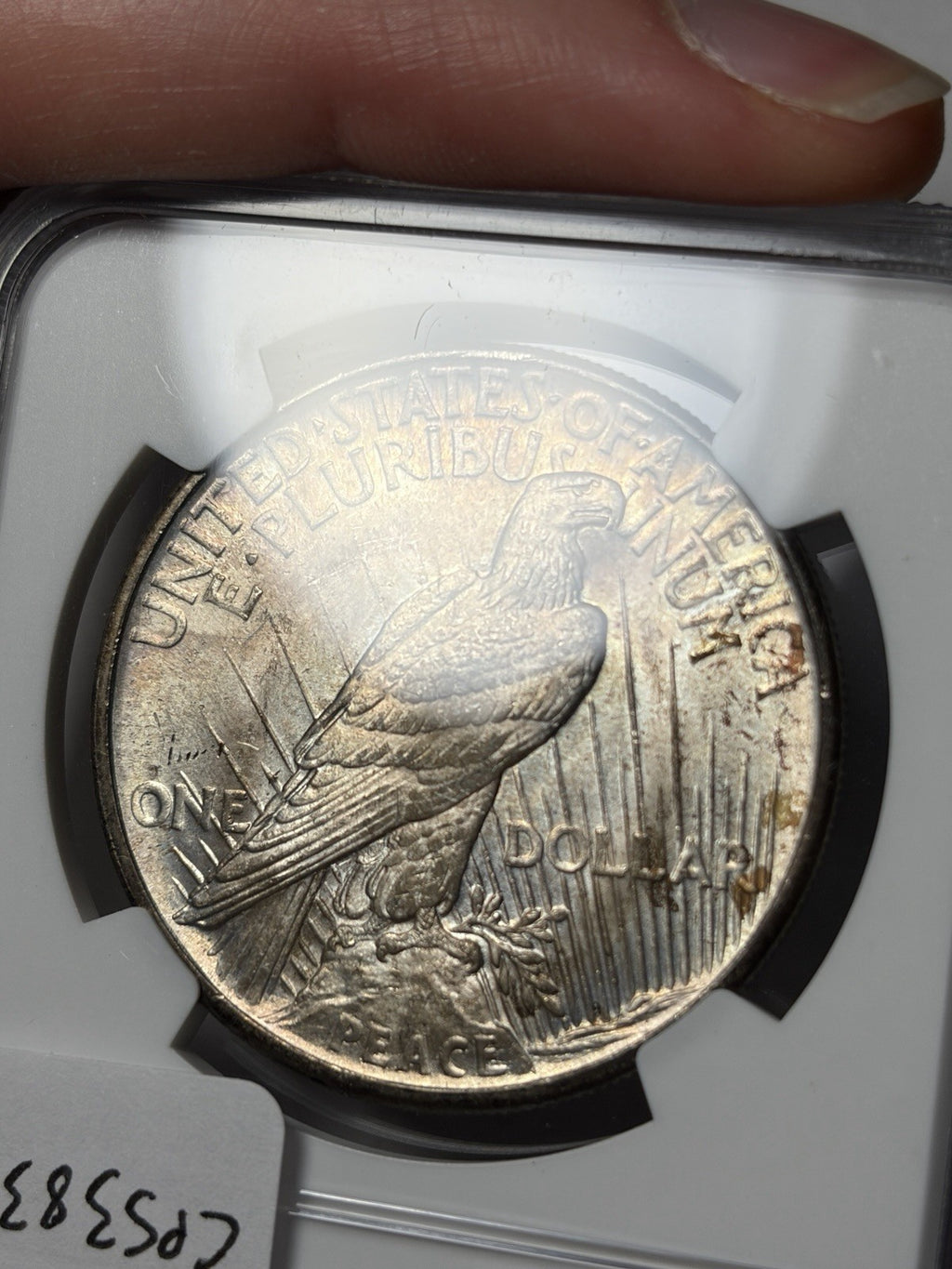 1921 NGC MS65 Peace Silver Dollar Toned Key Date