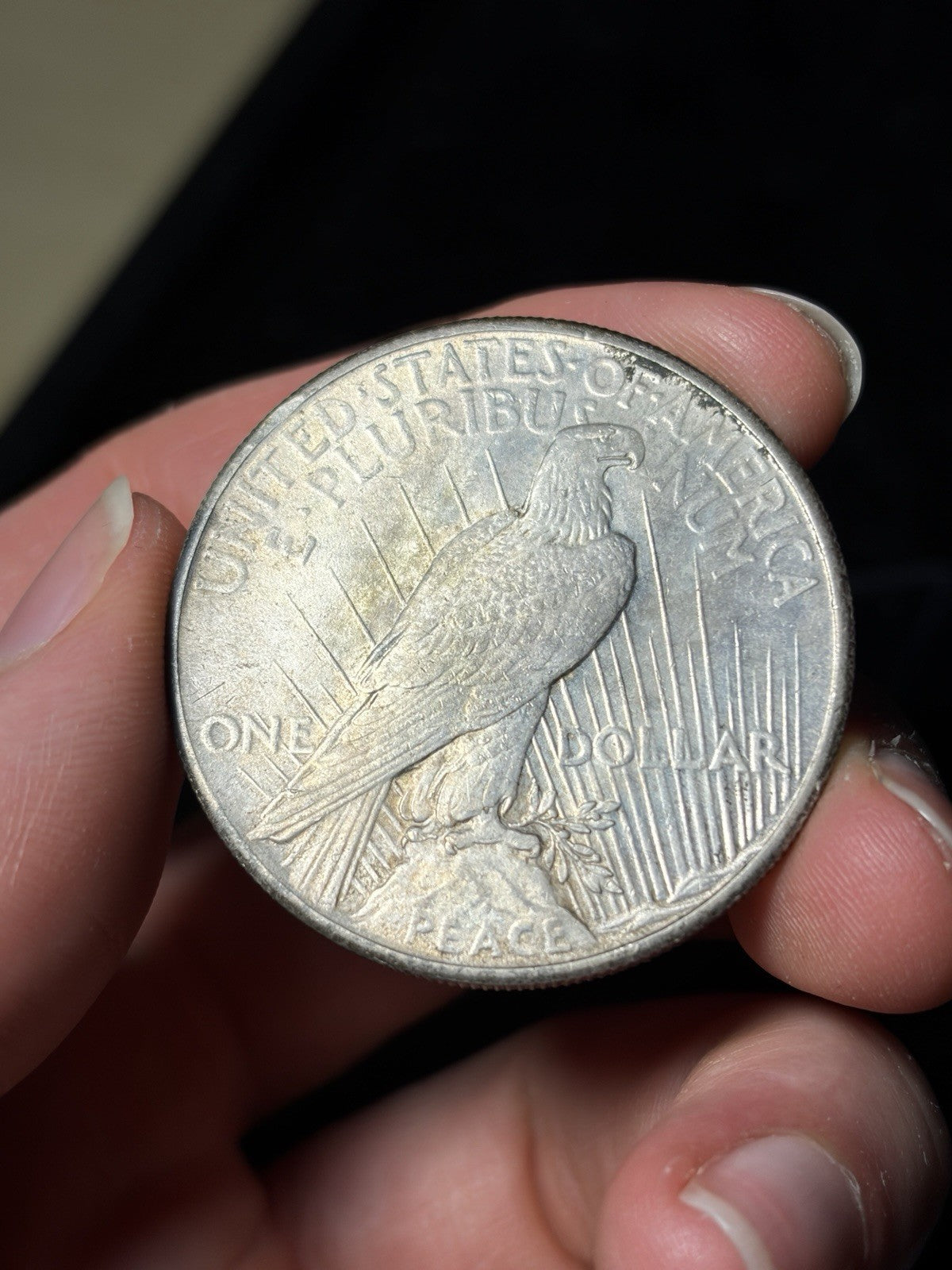 1928 Peace Silver Dollar