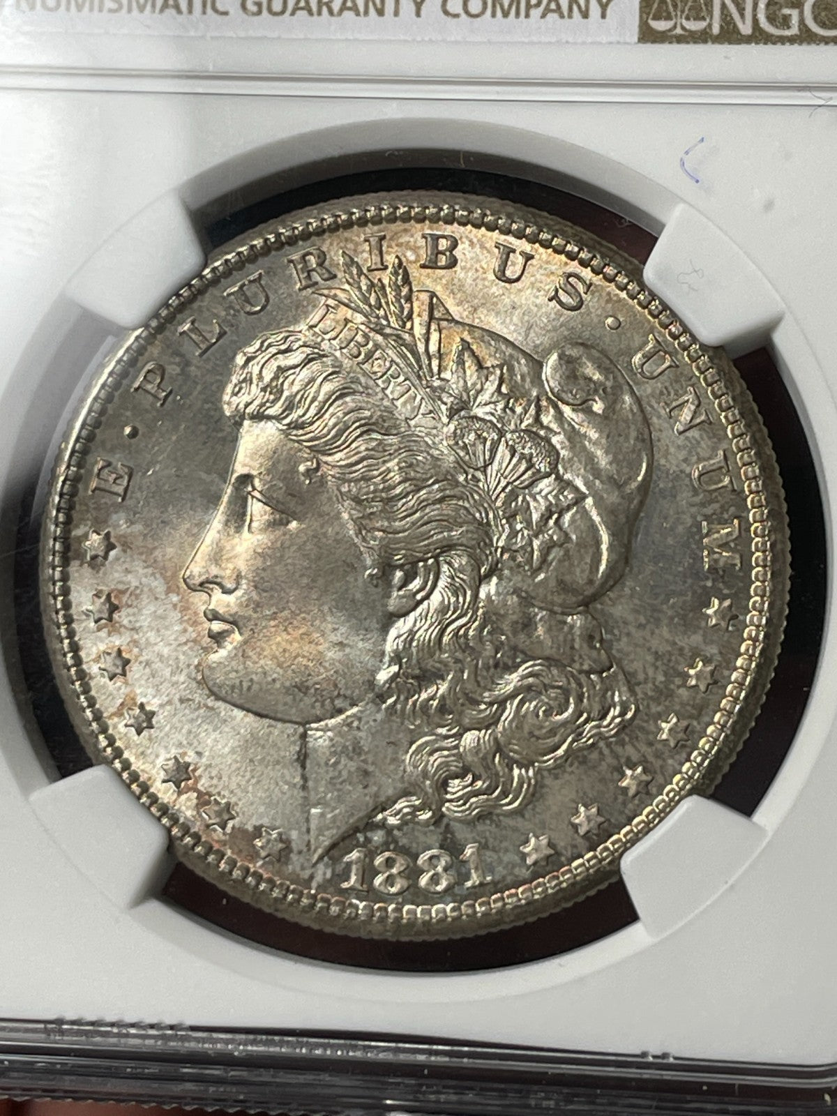 1881-S NGC MS67 Morgan Silver Dollar Blueberry Reverse Toned