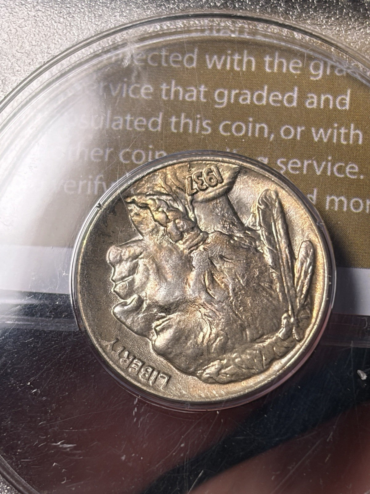 1937-D PCGS MS65 GOLD CAC Buffalo Nickel Rattler Holder