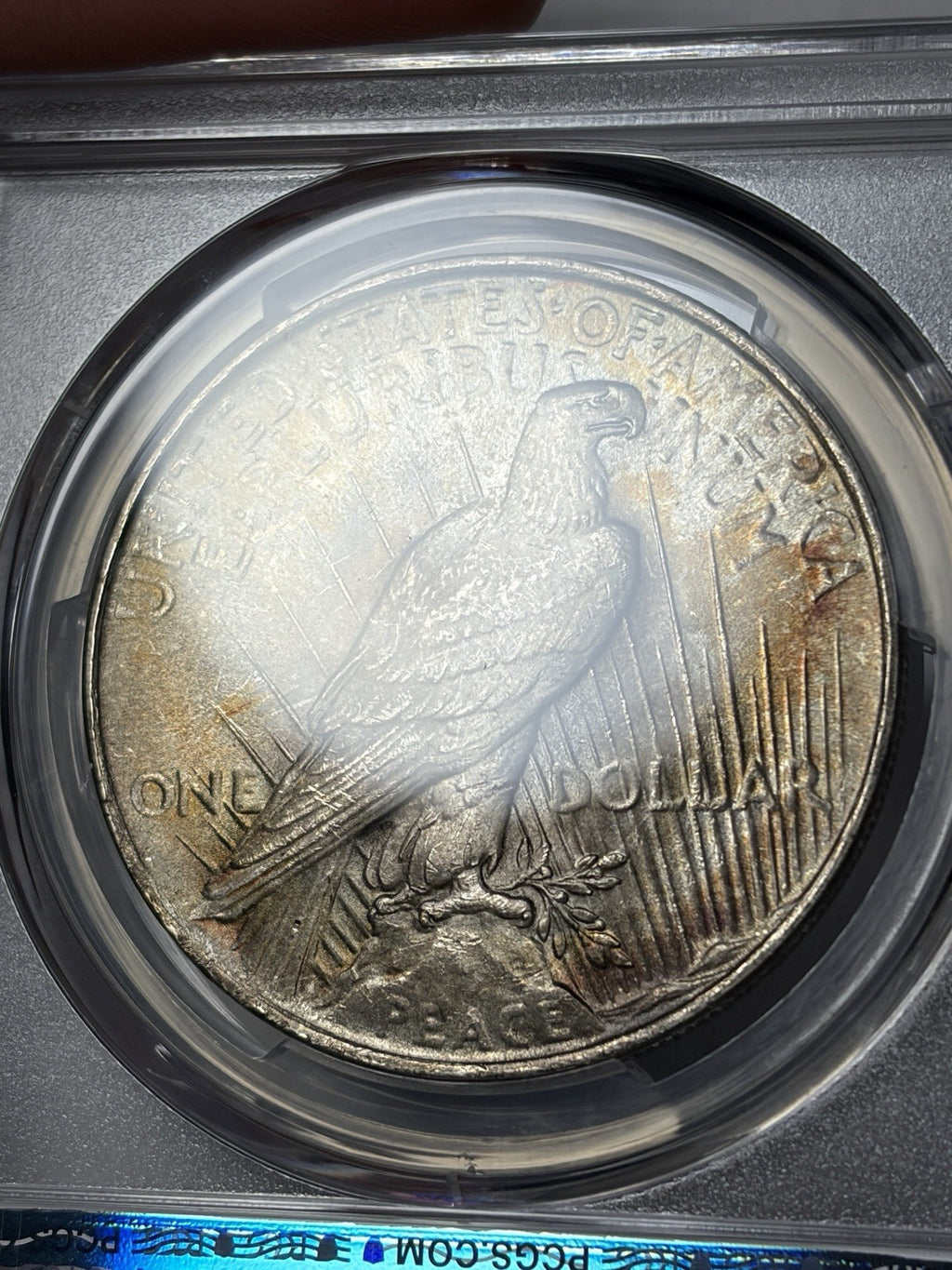 1922 PCGS MS64 Peace Silver Dollar Toned