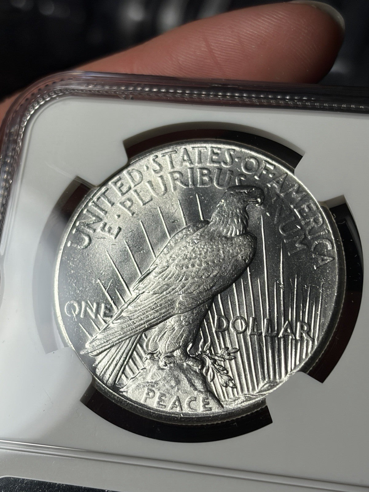 1928 NGC MS62 Peace Silver Dollar Key Date Blast White