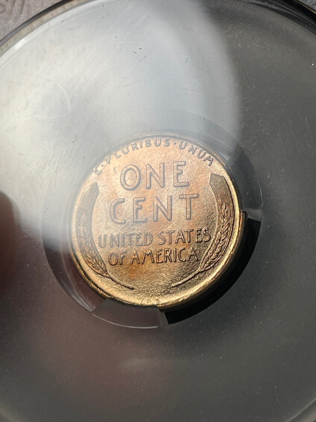 1909 VDB CACG MS66 RD Lincoln Wheat Cent Nice Coin