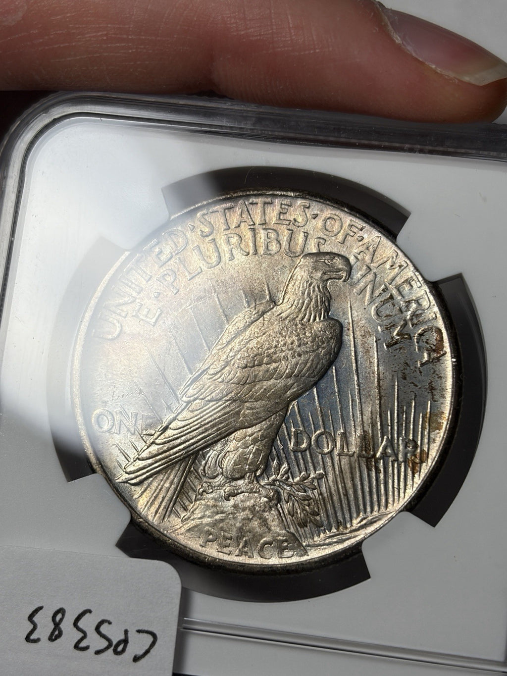1921 NGC MS65 Peace Silver Dollar Toned Key Date