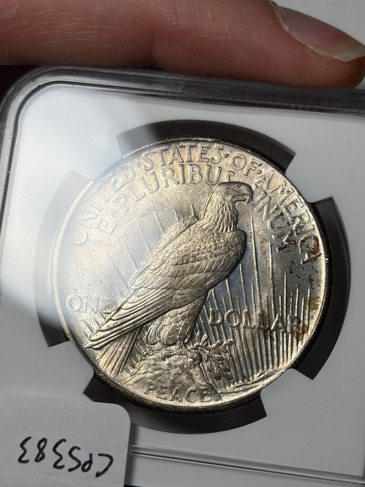 1921 NGC MS65 Peace Silver Dollar Toned Key Date