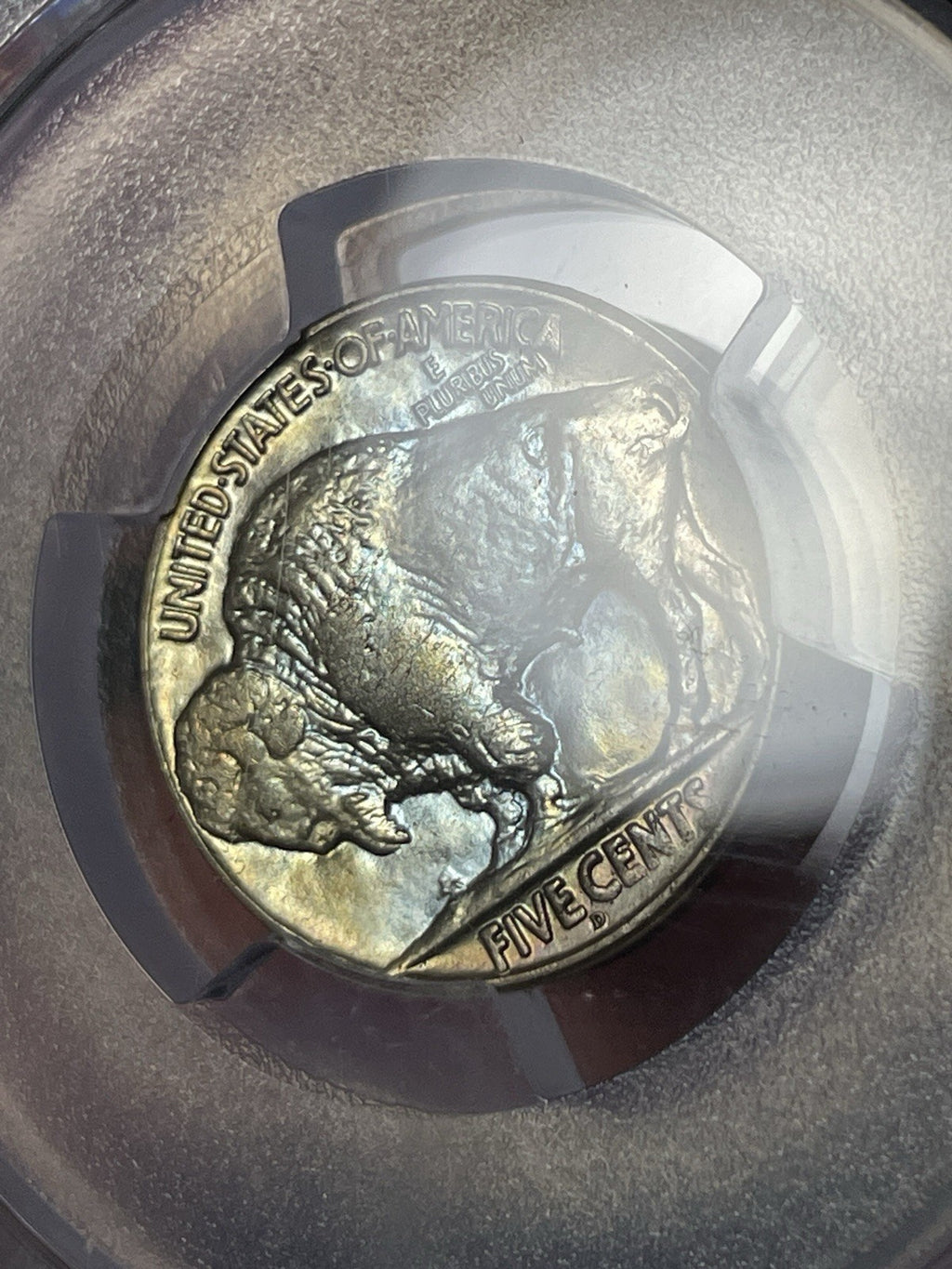 1925-D PCGS MS65 Buffalo Nickel Toned Blue And Gold
