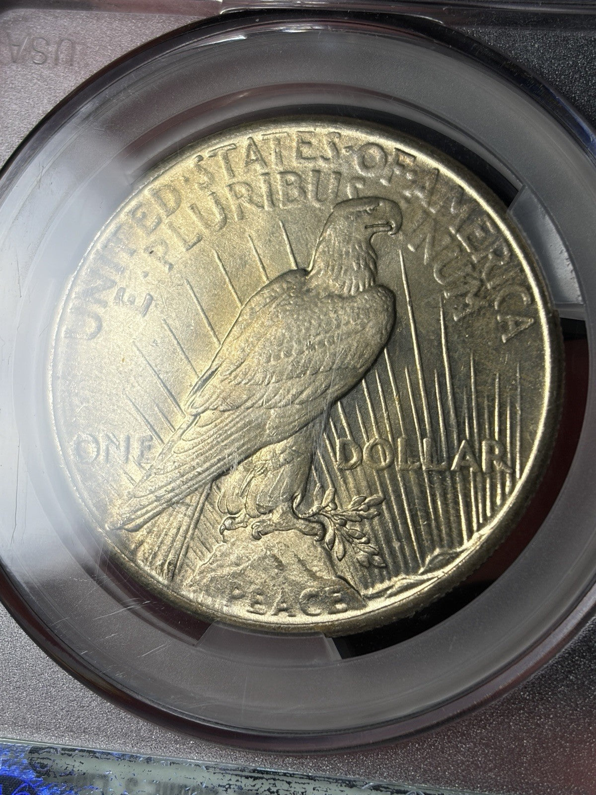 1926 CACG MS65 Peace Silver Dollar Toned Nicely