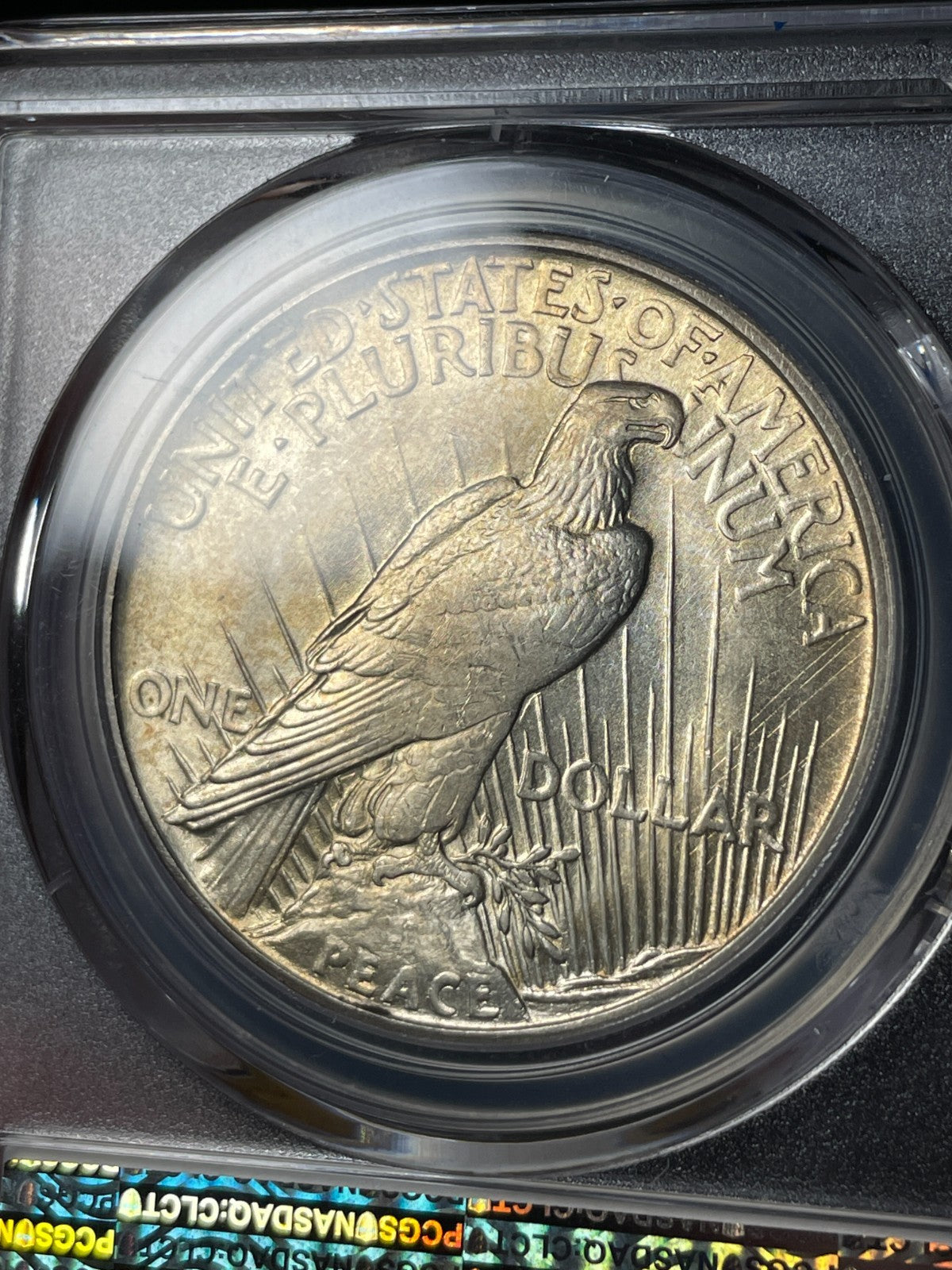 1921 PCGS MS64 Peace Silver Dollar Key Date Toned