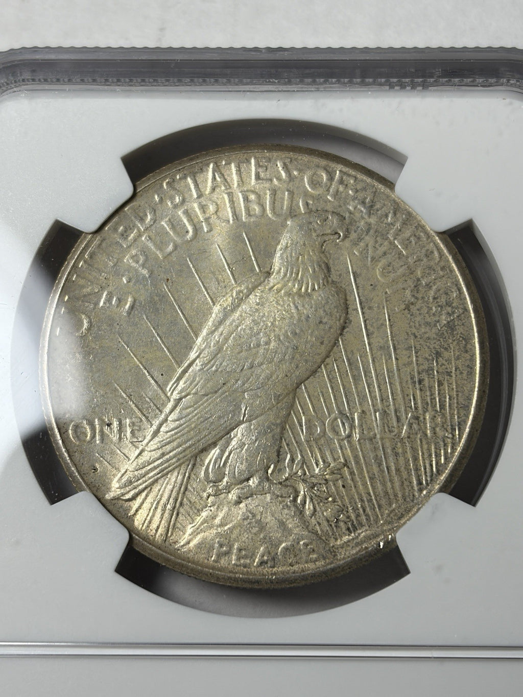1925-S NGC UNC Details Peace Silver Dollar