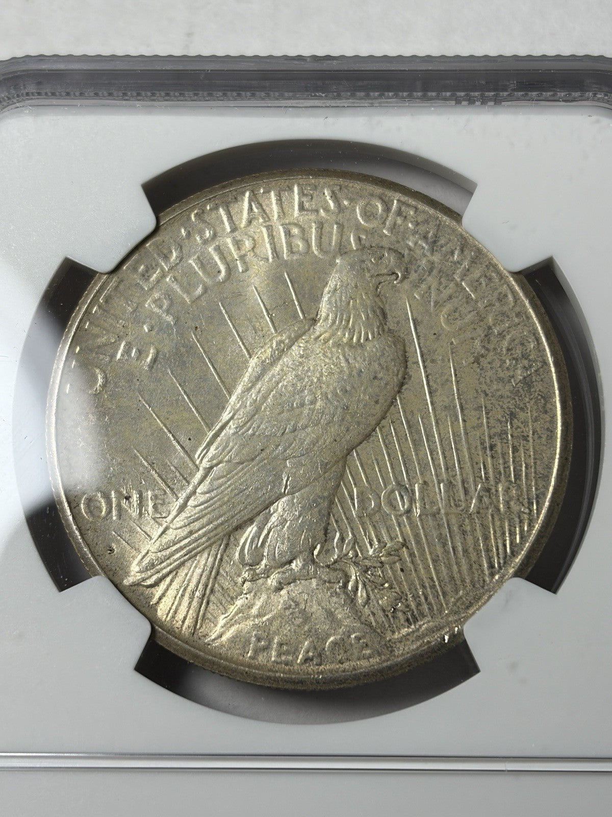 1925-S NGC UNC Details Peace Silver Dollar