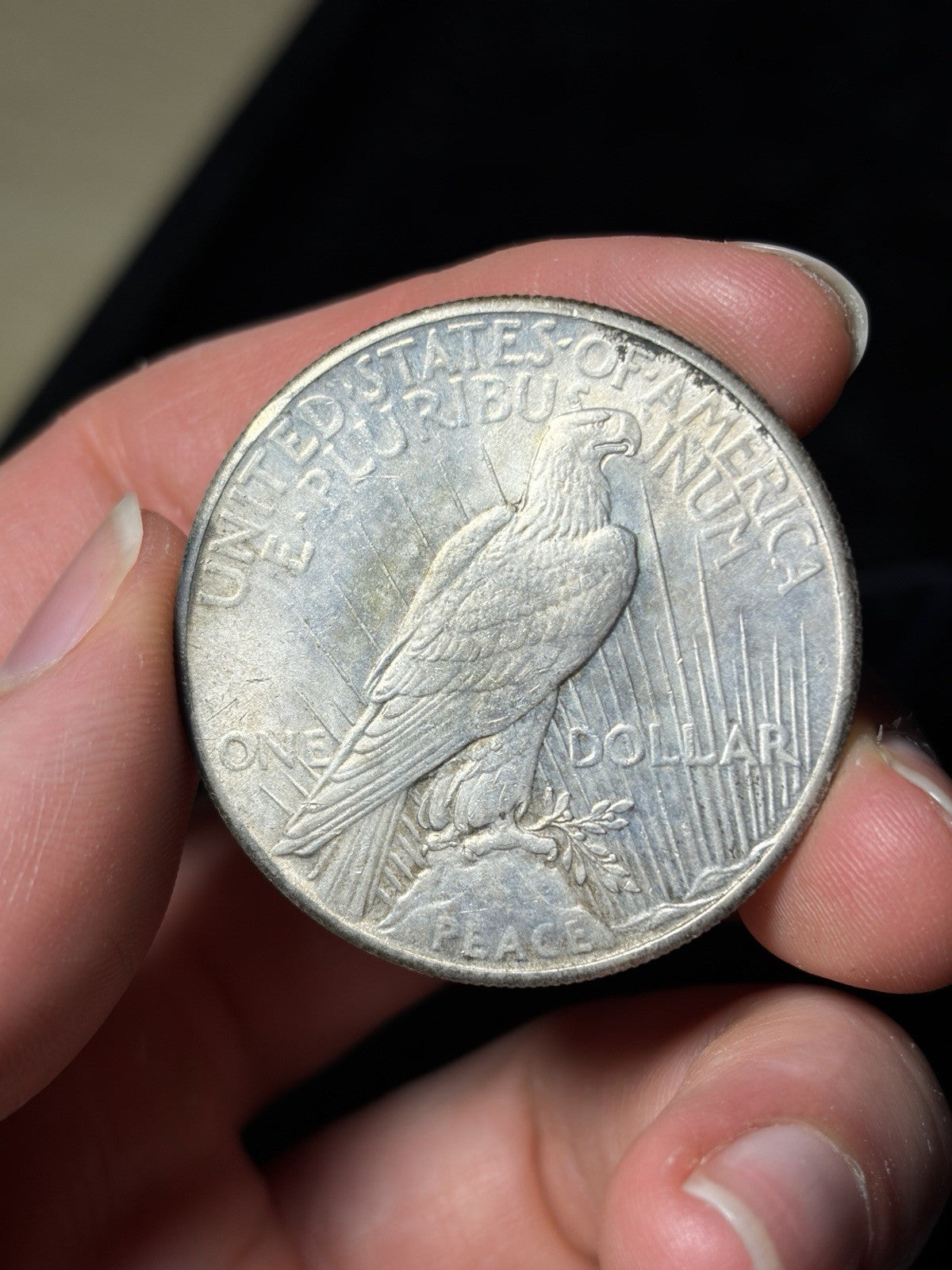 1928 Peace Silver Dollar
