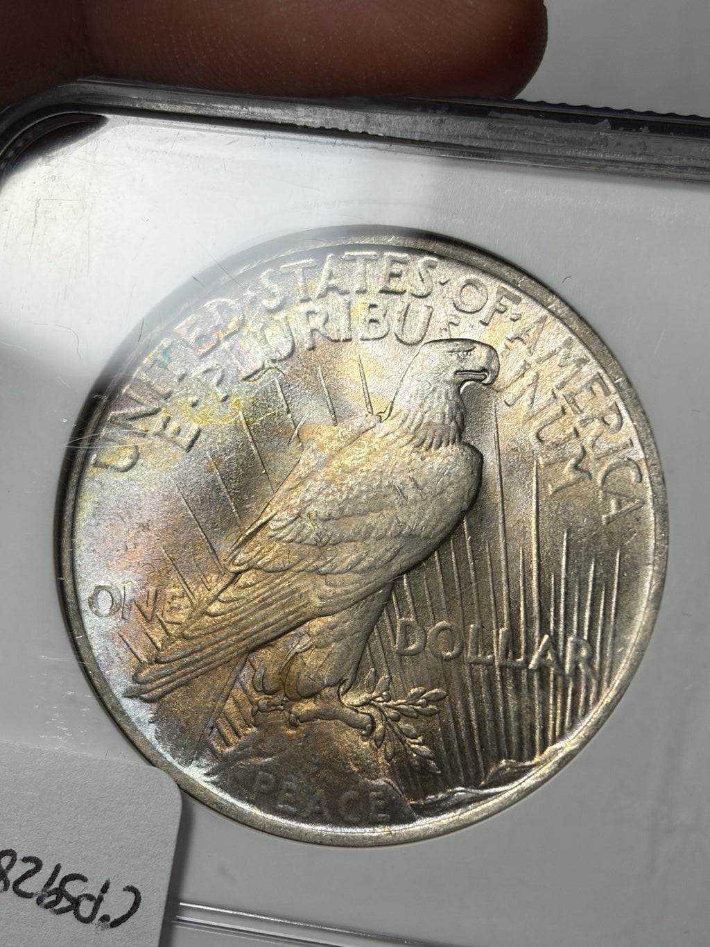 1923 NGC MS63 Peace Silver Dollar Toned RARE
