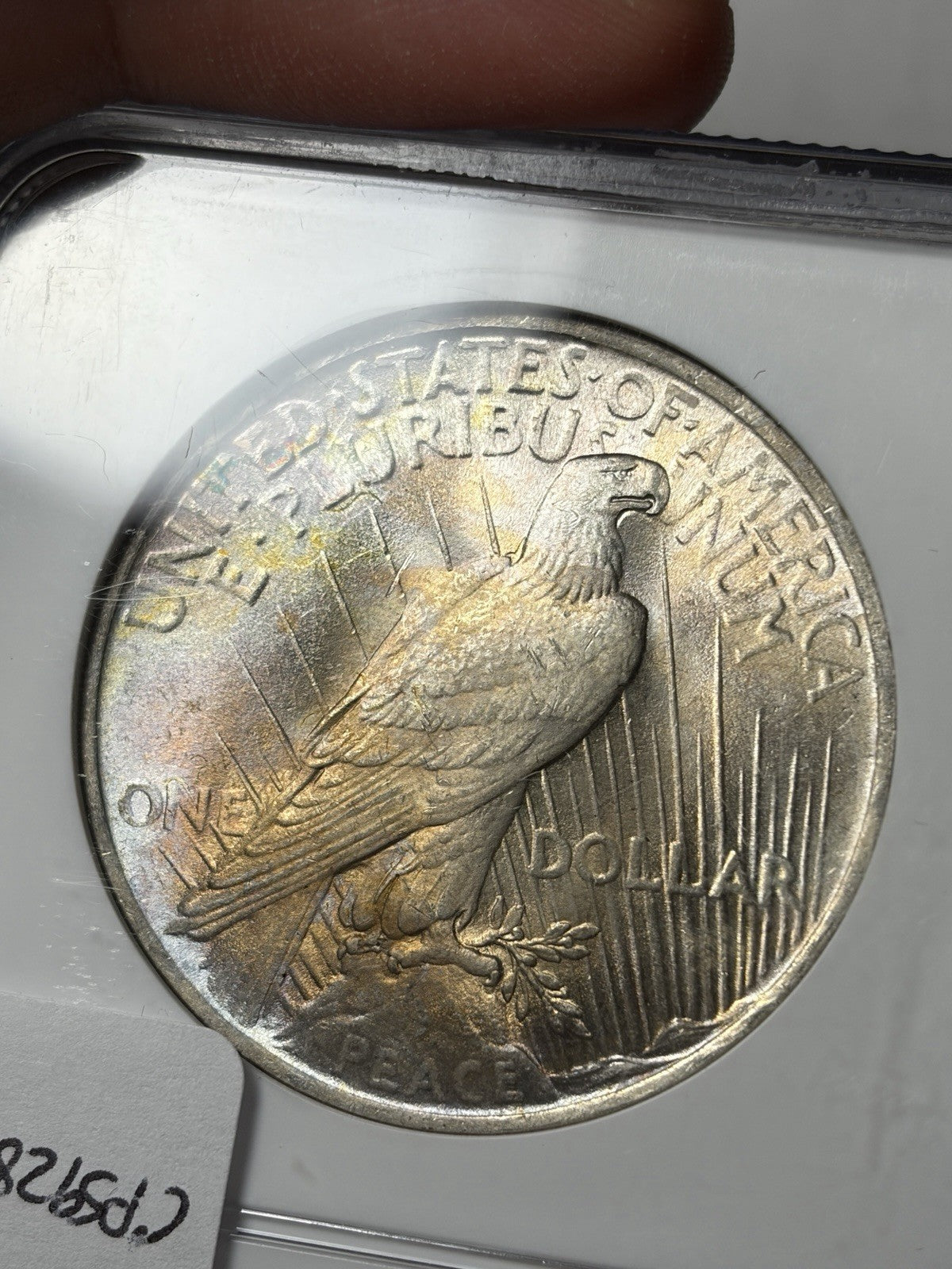 1923 NGC MS63 Peace Silver Dollar Toned RARE