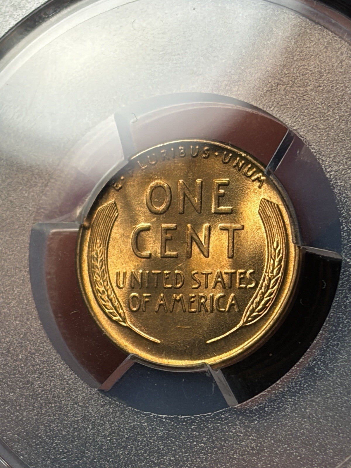 1929 PCGS MS67 RD Lincoln Wheat Cent Registry Grade