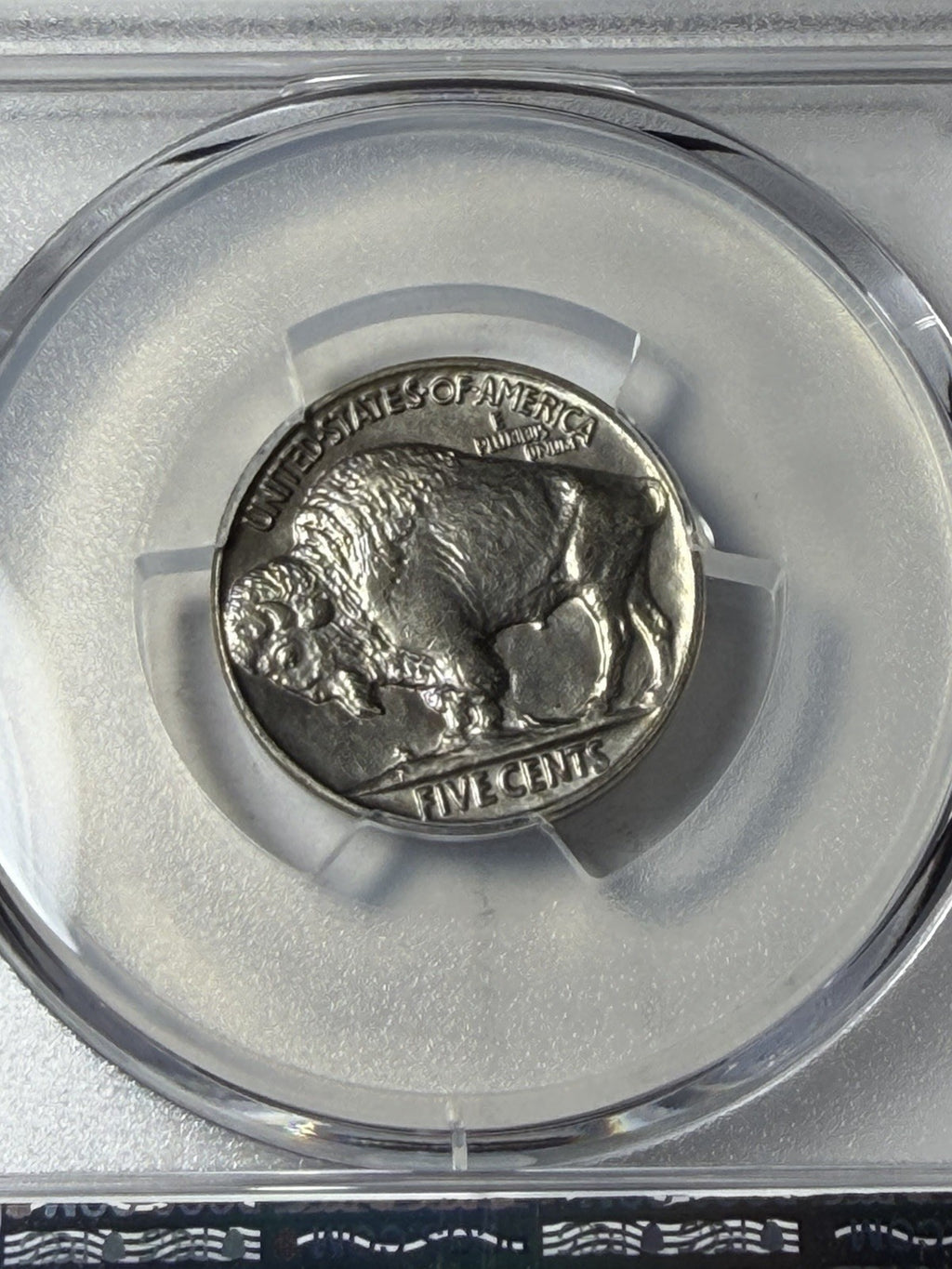 1936 PCGS MS65 Buffalo Nickel