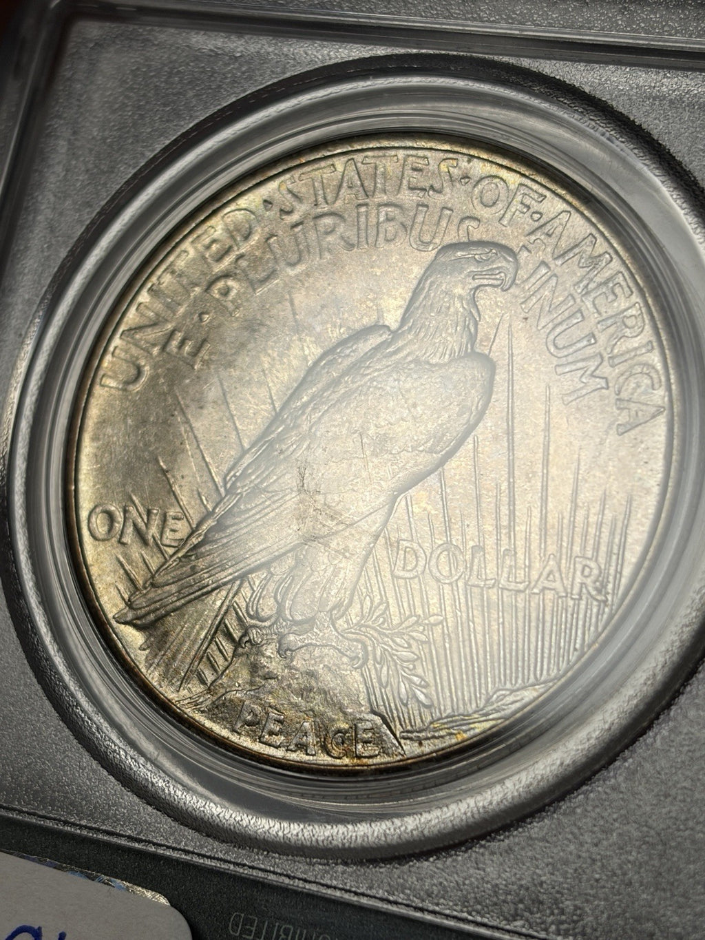 1921 PCGS MS64 CAC Peace Silver Dollar Old Green Holder Toned