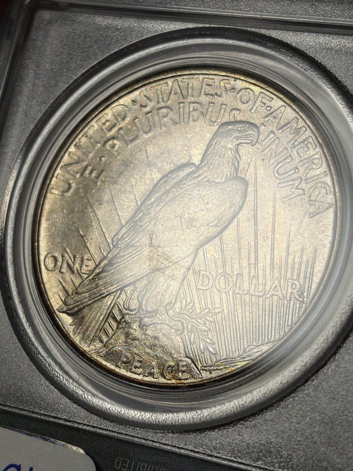 1921 PCGS MS64 CAC Peace Silver Dollar Old Green Holder Toned