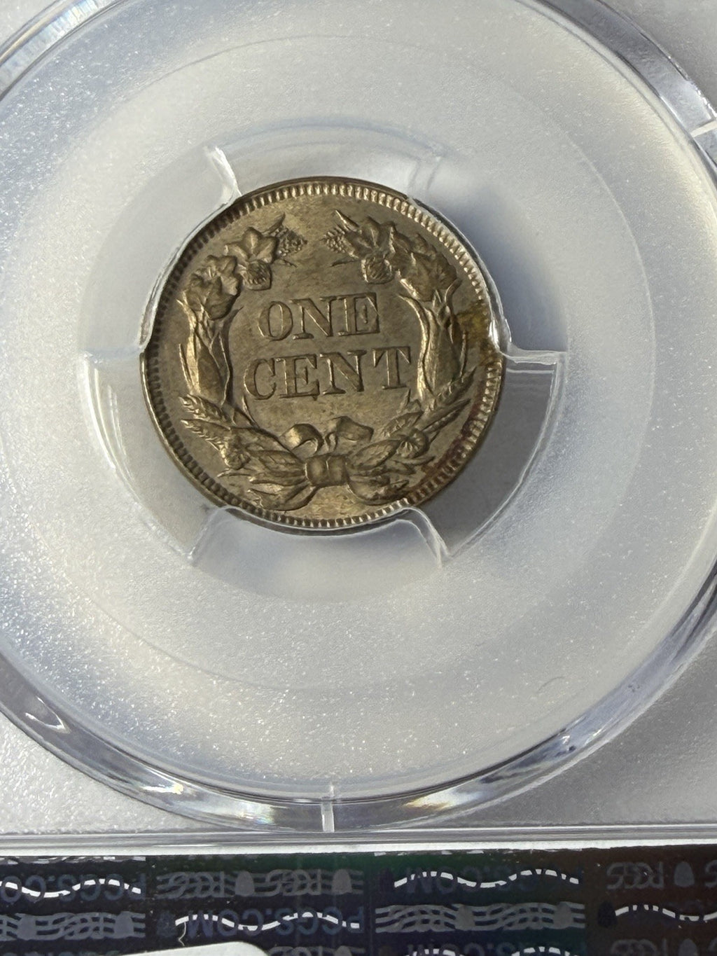 1857 PCGS Genuine Flying Eagle Graffiti Set