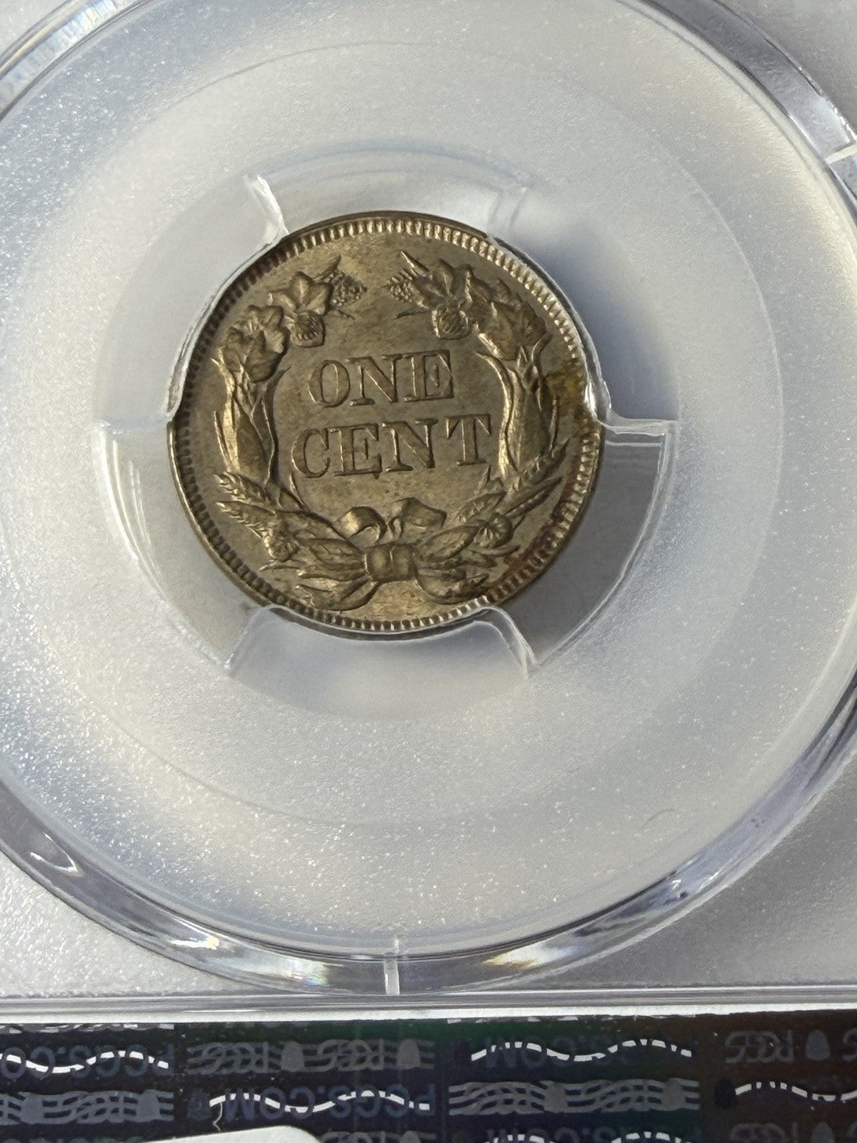 1857 PCGS Genuine Flying Eagle Graffiti Set