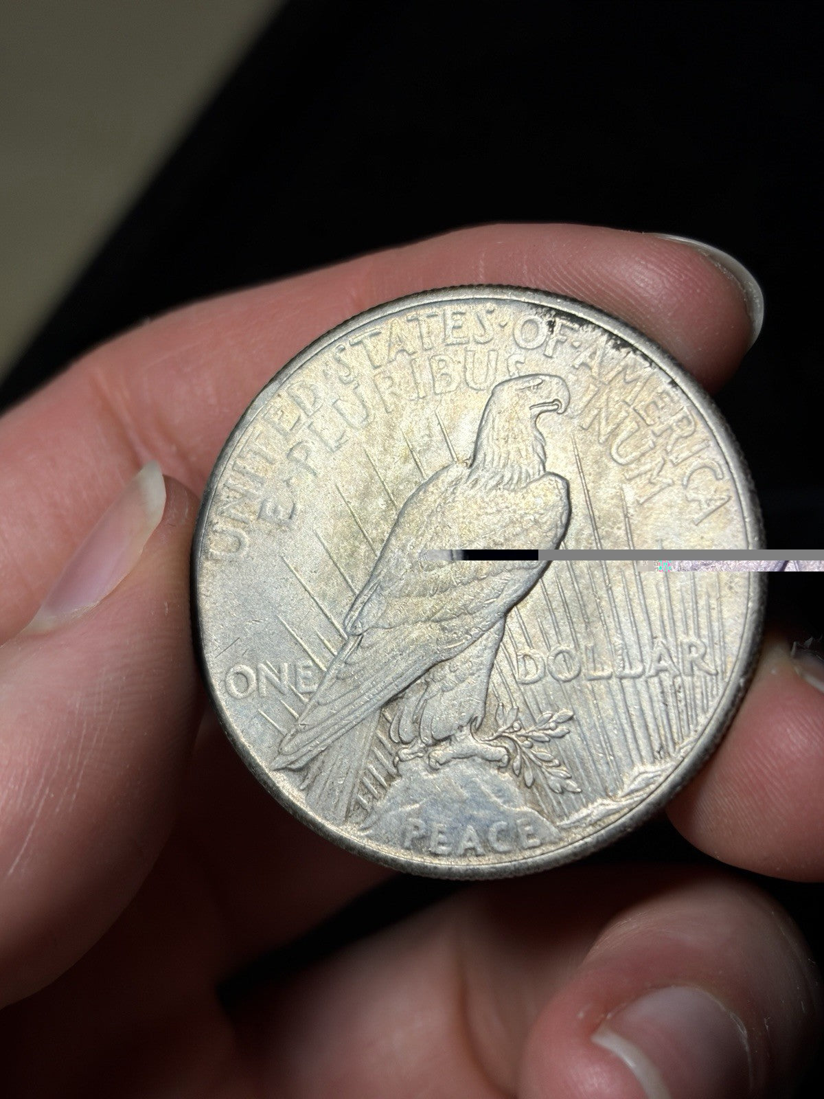 1928 Peace Silver Dollar