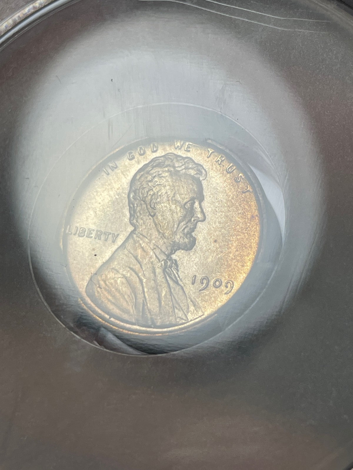 1909 VDB CACG MS66 RD Lincoln Wheat Cent Nice Coin