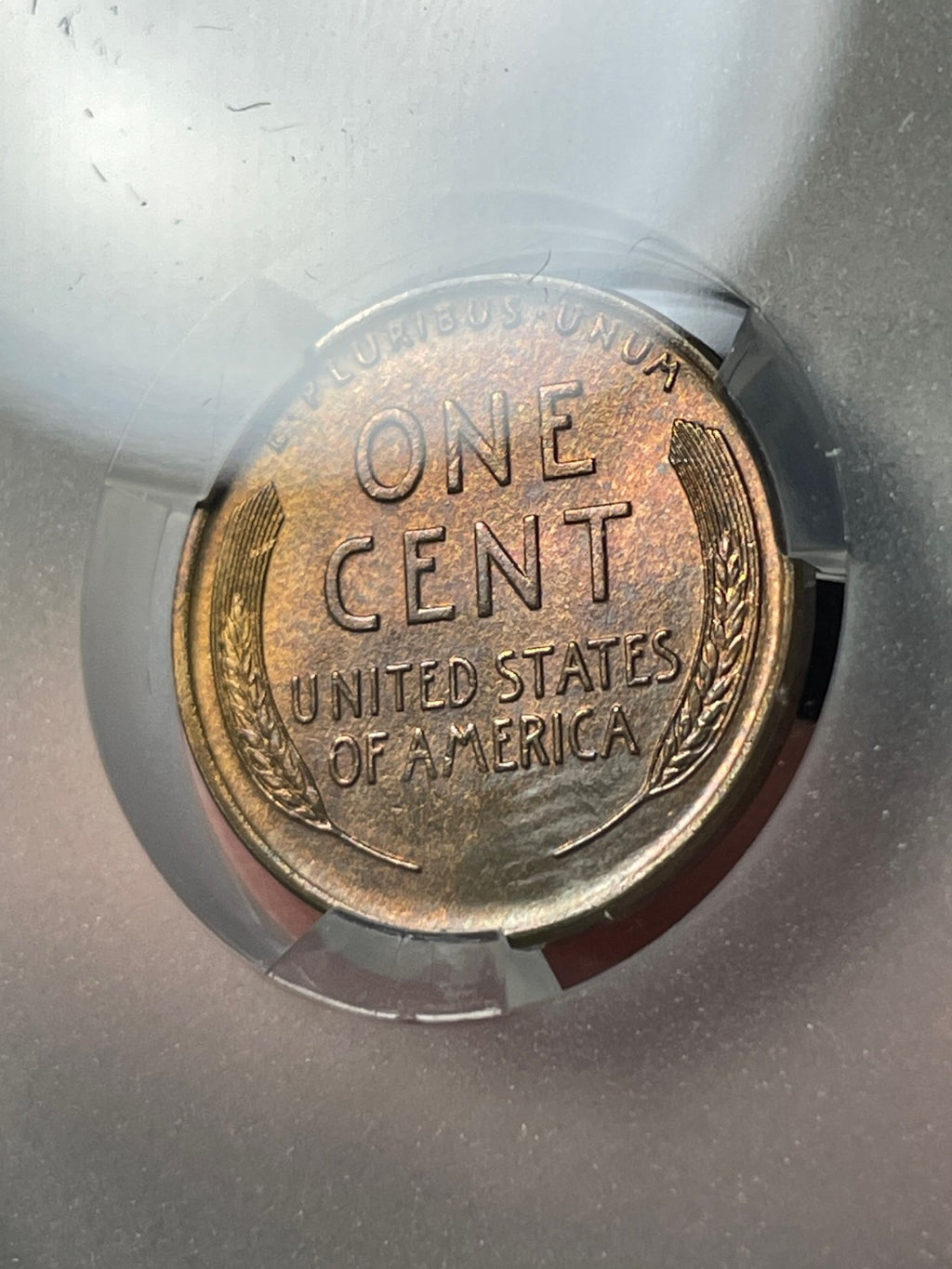 1918-D CACG MS64 RB Lincoln Wheat Cent Red Brown