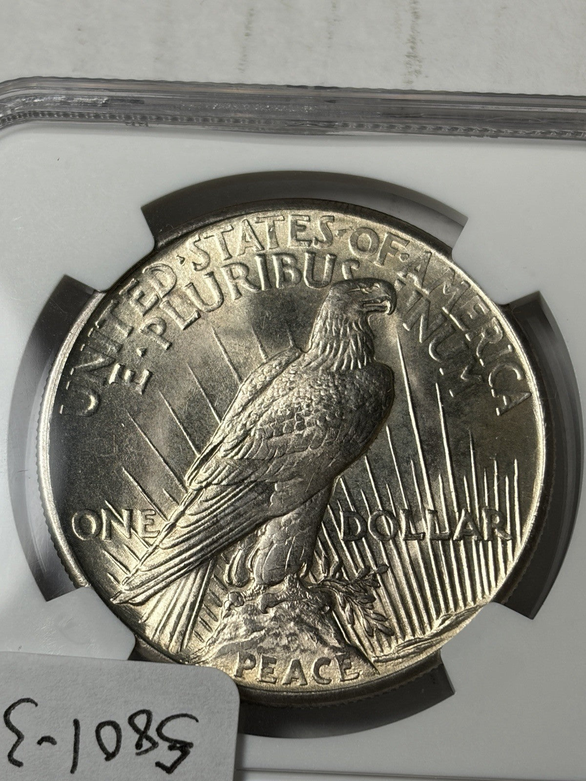 1921 NGC MS64 Peace Silver Dollar