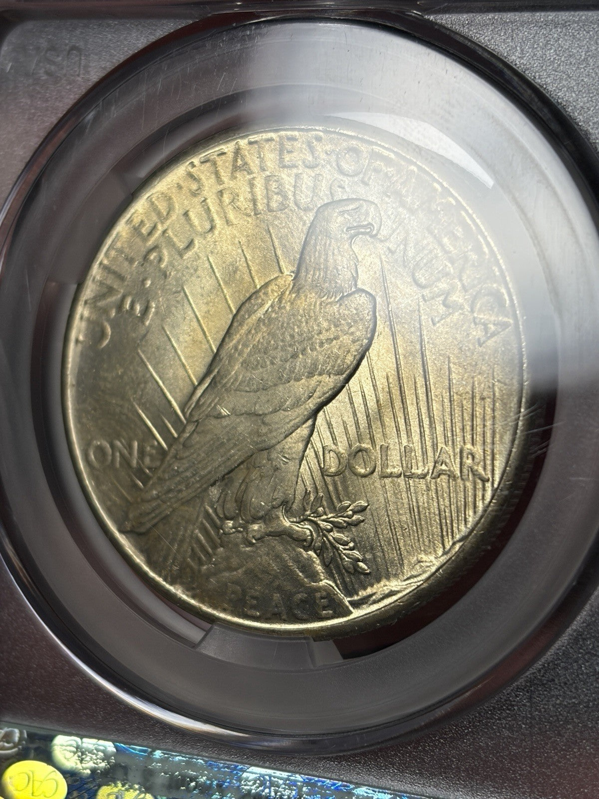 1926 CACG MS65 Peace Silver Dollar Toned Nicely