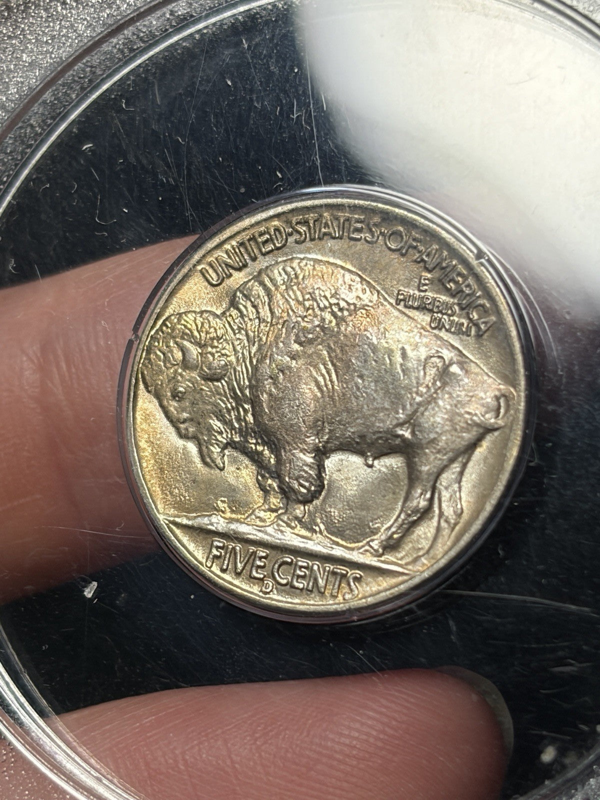 1937-D PCGS MS65 GOLD CAC Buffalo Nickel Rattler Holder