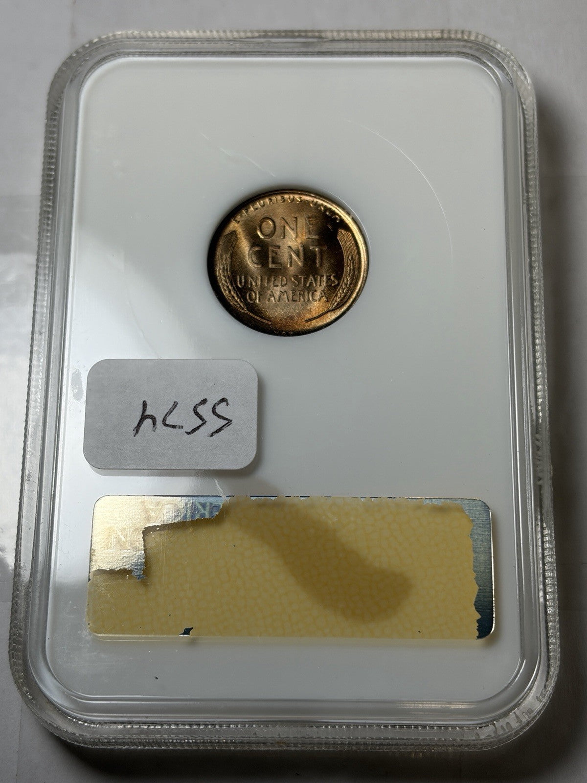 1909 VDB NGC MS66 RD CAC Lincoln Wheat Cent Old Fatty Holder