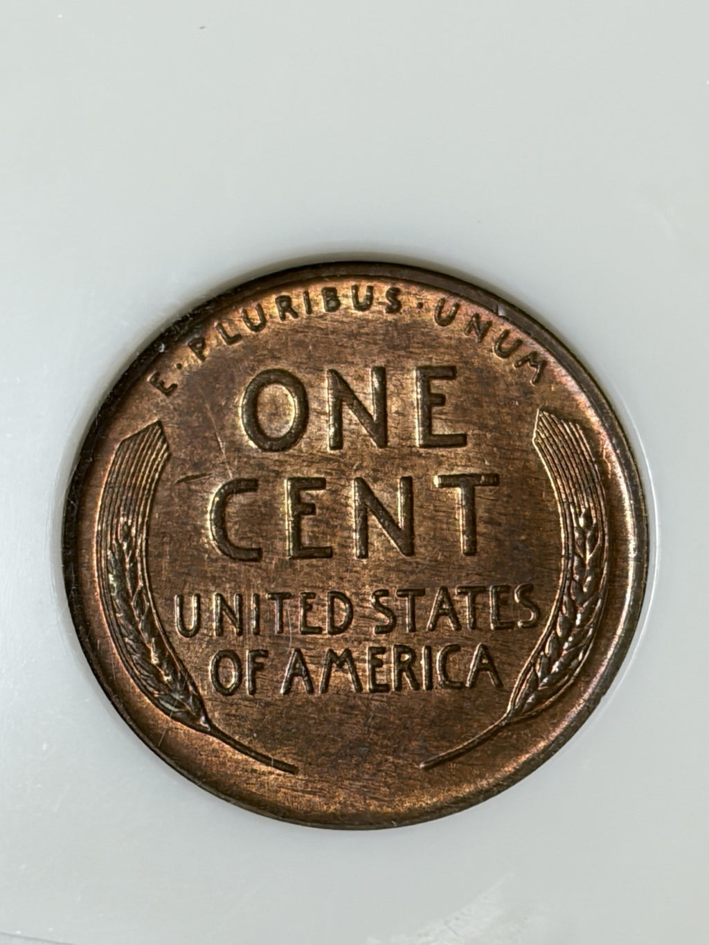 1955 NGC MS61 RB Double Die Obverse Old Fatty Holder