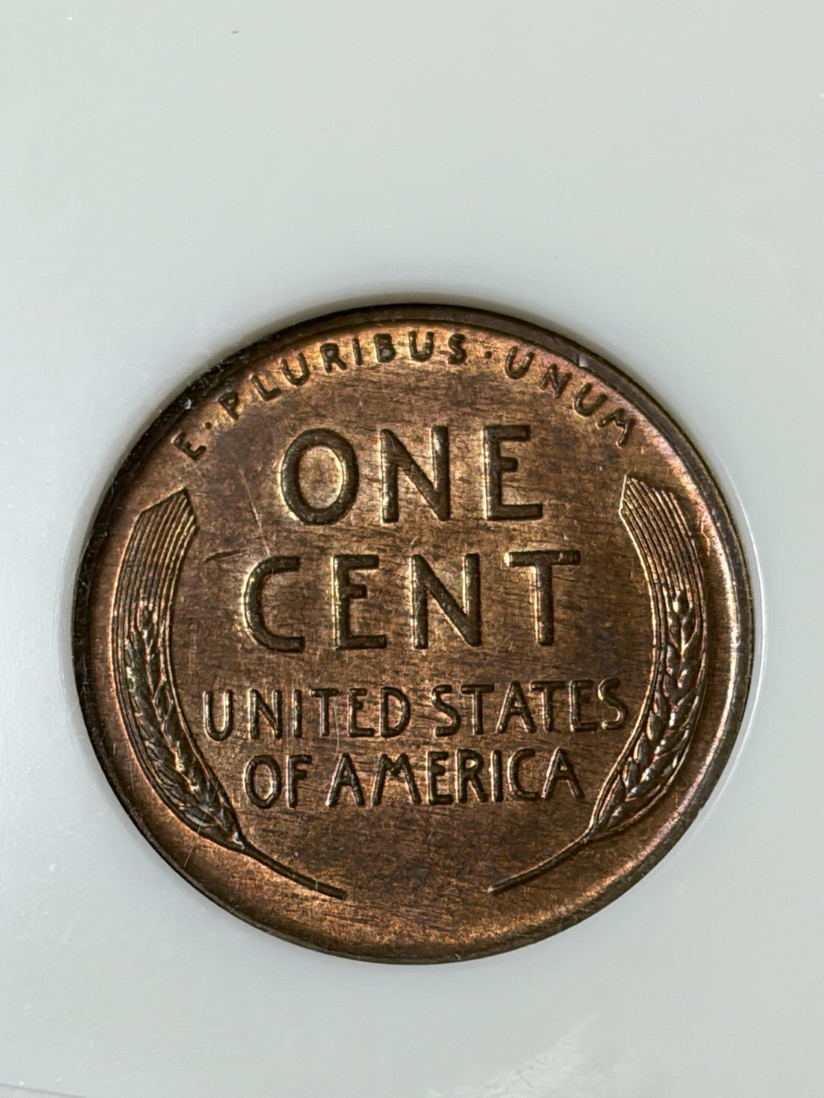 1955 NGC MS61 RB Double Die Obverse Old Fatty Holder
