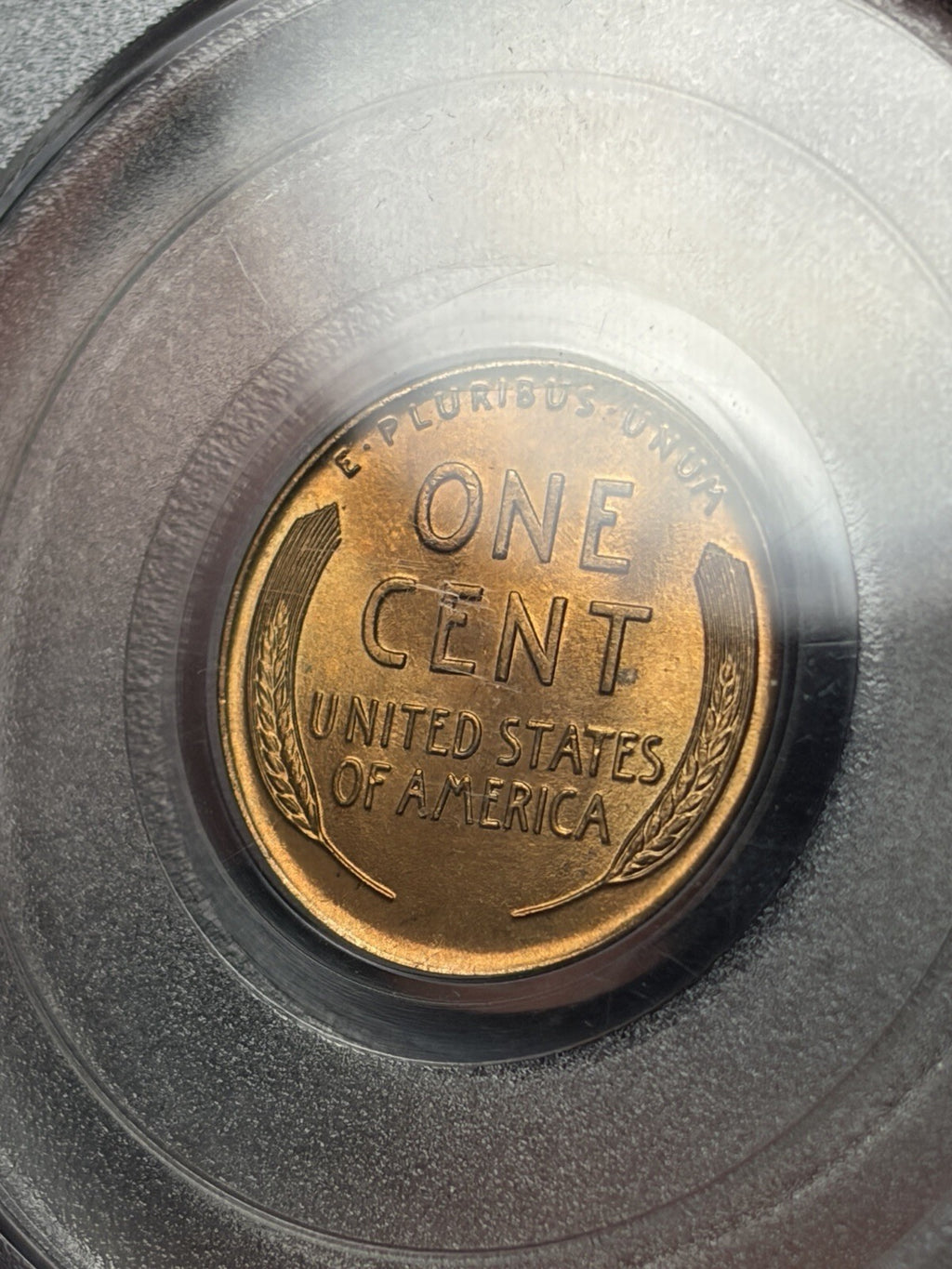 1926 PCGS MS65 RD CAC Lincoln Wheat Cent Old Blue Holder