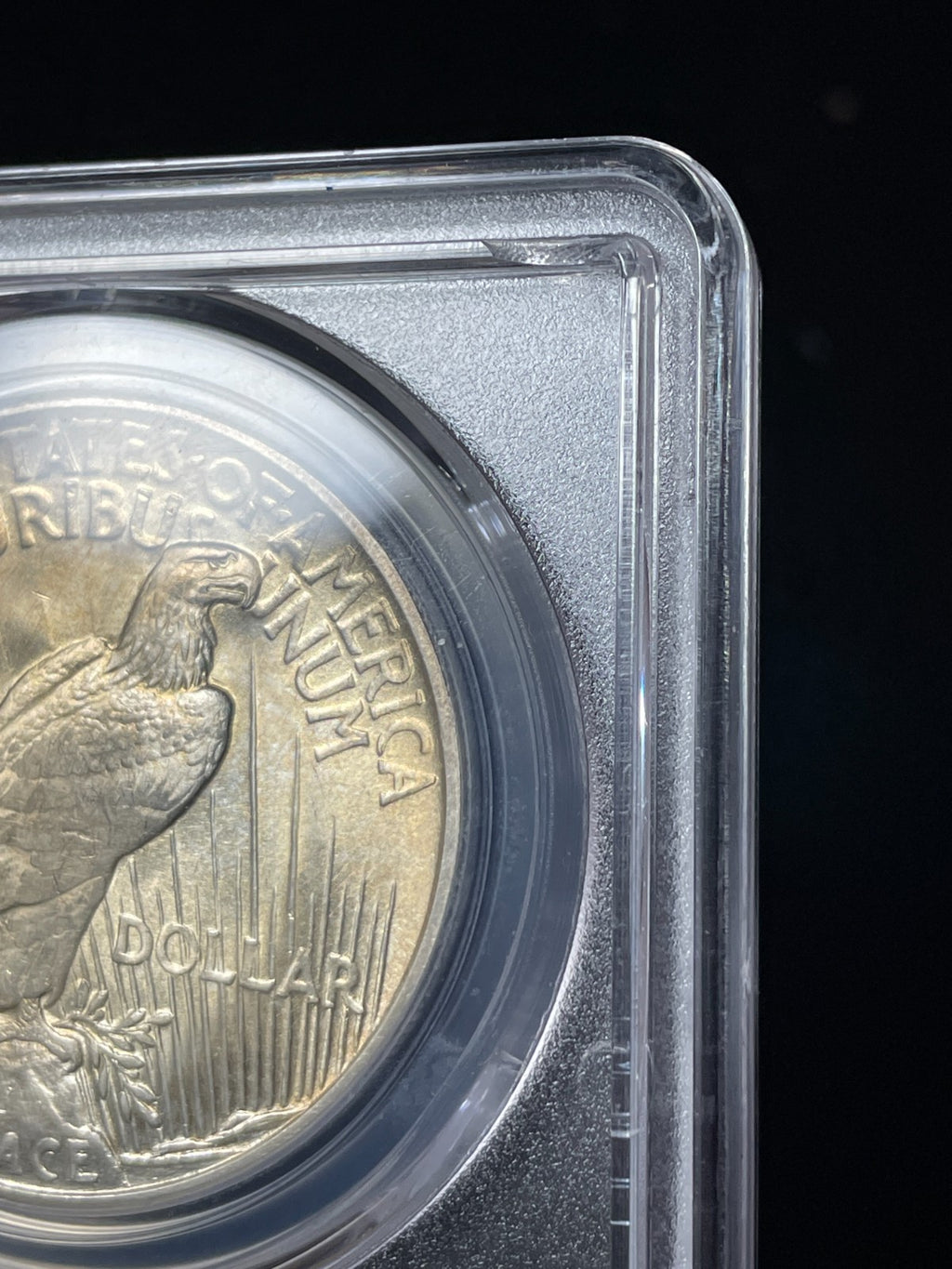 1921 PCGS MS64 Peace Silver Dollar Key Date Toned