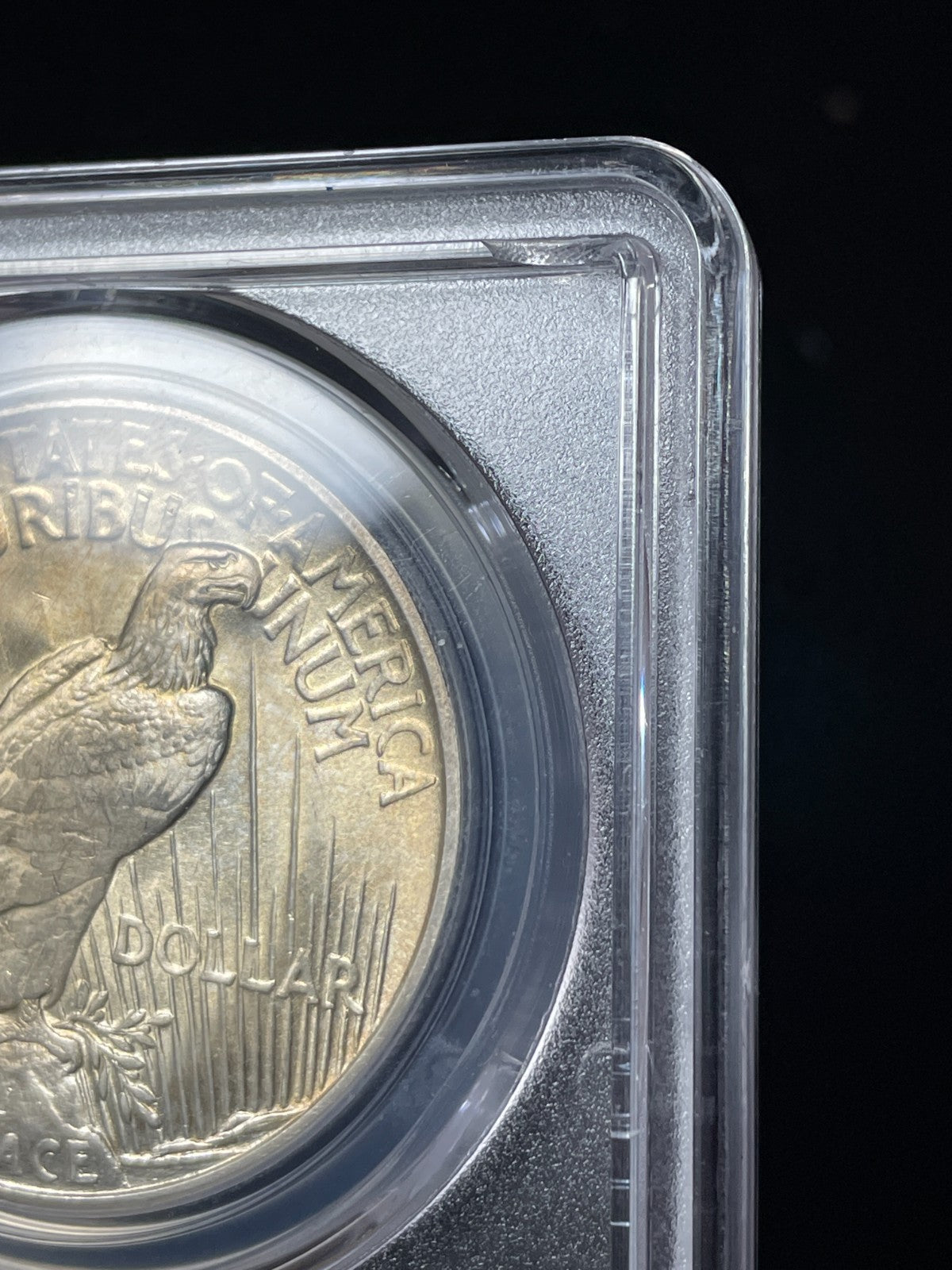 1921 PCGS MS64 Peace Silver Dollar Key Date Toned