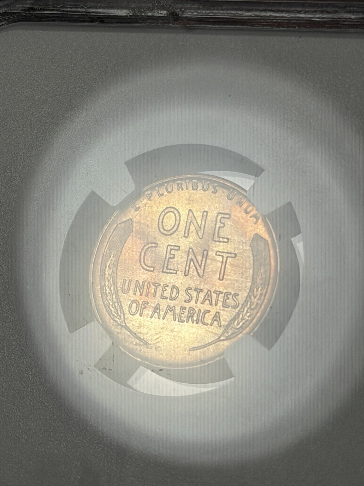 1941-D NGC MS66 RB CAC Lincoln Wheat Cent EX. MS67 RD
