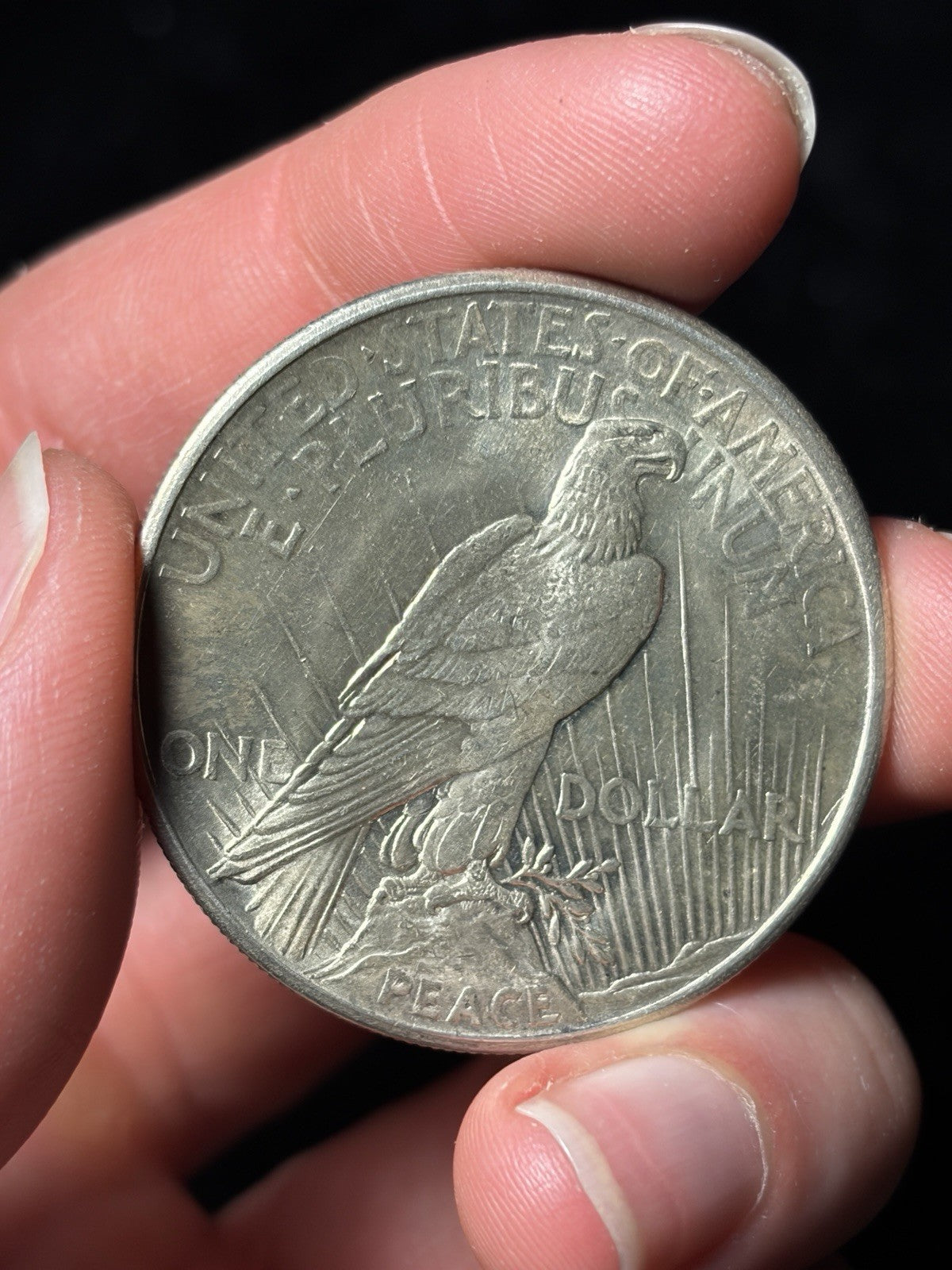 1921 Peace Silver Dollar