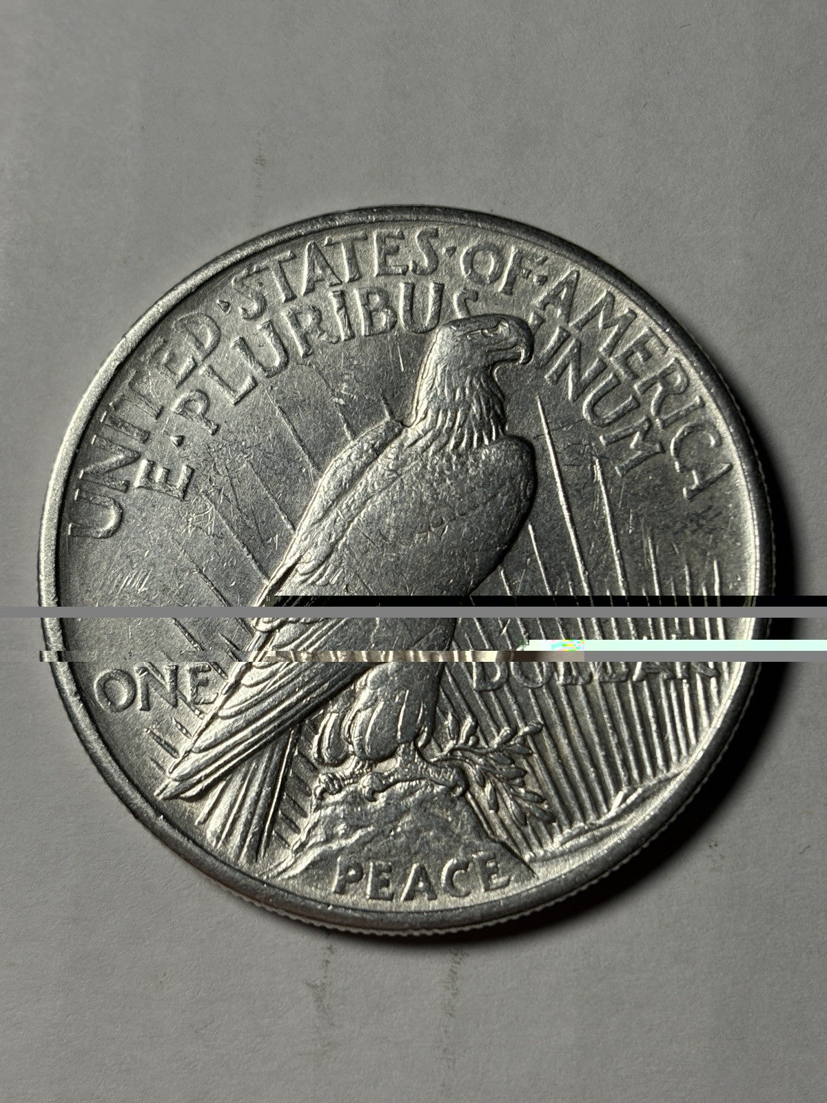 1921 Peace Silver Dollar Details