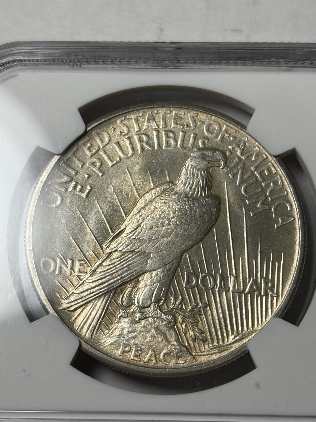 1921 NGC MS63 Peace Silver Dollar High Relief