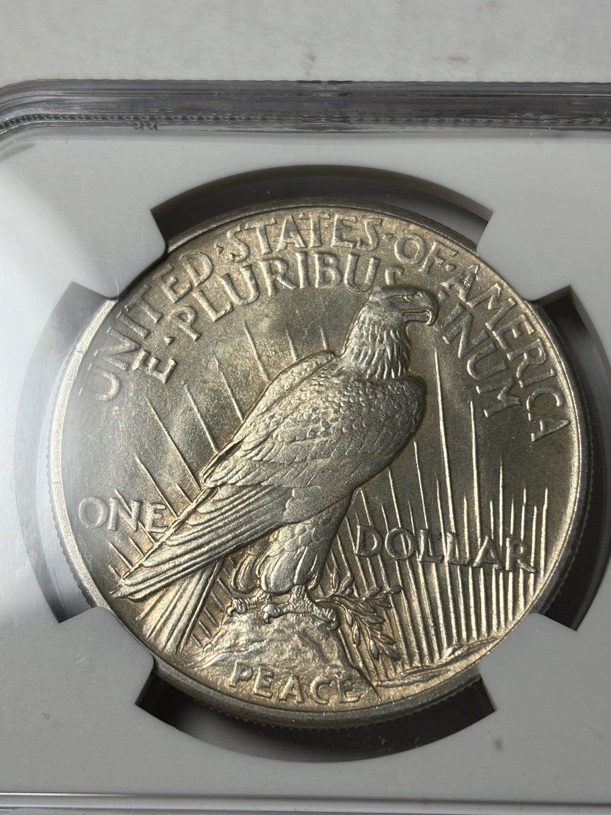 1921 NGC MS63 Peace Silver Dollar High Relief