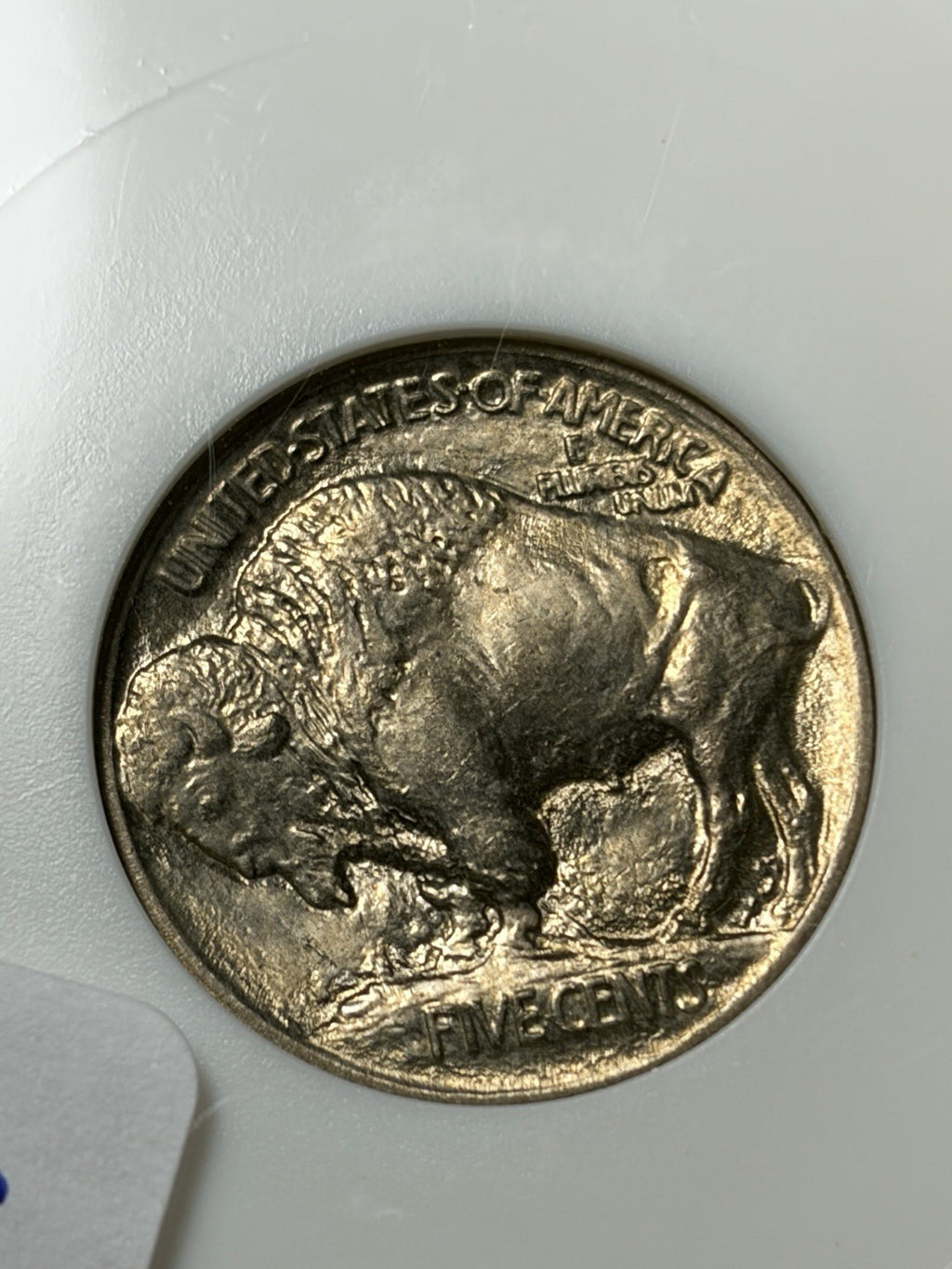 1913 Type 1 NGC MS65 CAC Buffalo NIckel Old Fatty Holder